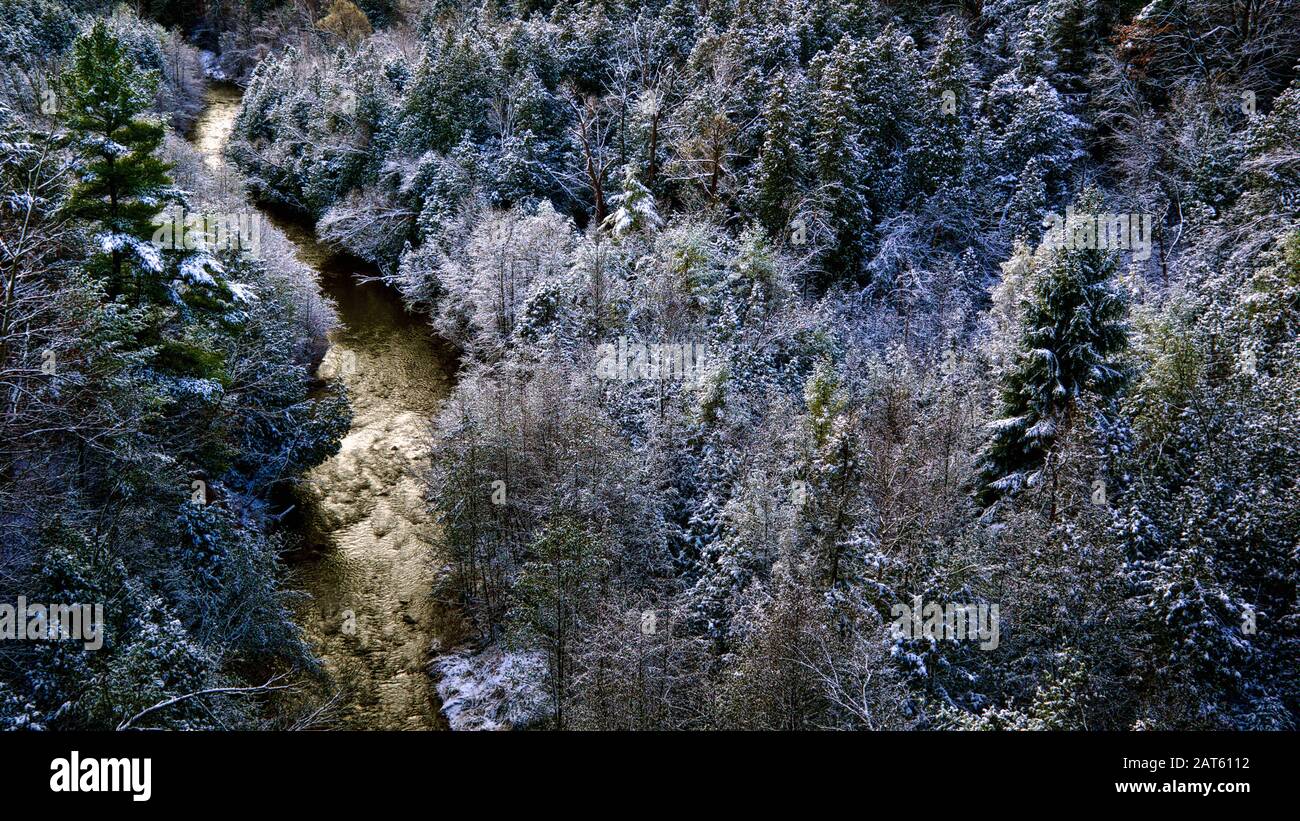 Winterlandschaft des Waldes nach dem ersten Schneefall Stockfoto