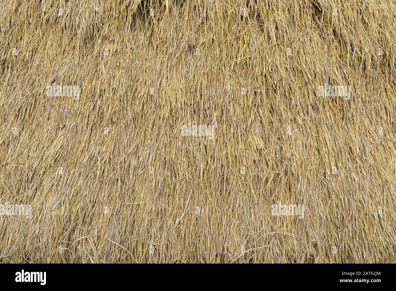 Trockenes, senkrecht gestapeltes Strohhalm. Grashay. Hintergrundtextur Stockfoto