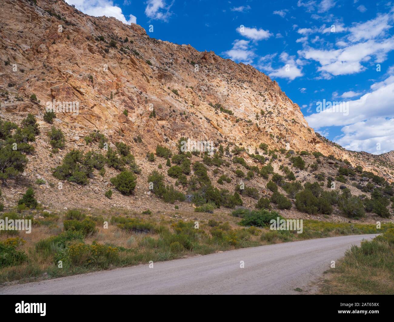 Sheep Creek Canyon geologischen Bereich, National Forest, Utah. Stockfoto