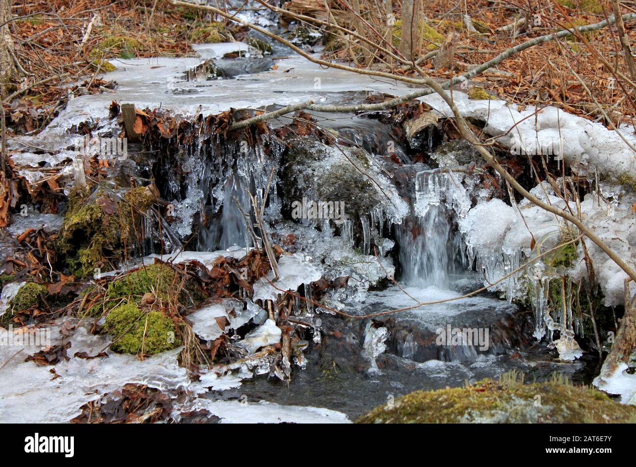 Eisbeschichtung, Chezzetcook Area, Nova Scotia. Stockfoto