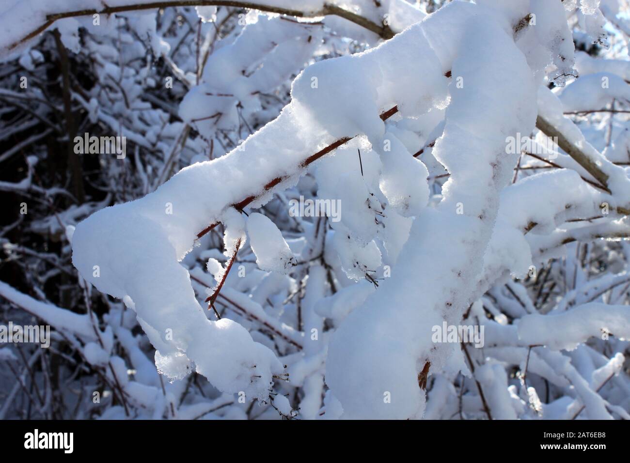 Schneeszene im East Chezzetcook Nova Scotia. Stockfoto