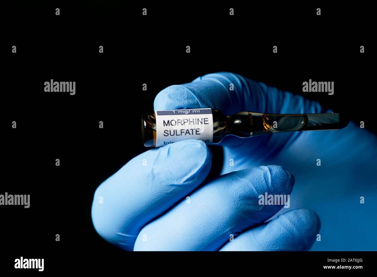 Morphinsulfat-Injektionsampulle, die von der Handschuhhand des Gesundheitsperformers mit dunklem Hintergrund gehalten wird. Stockfoto