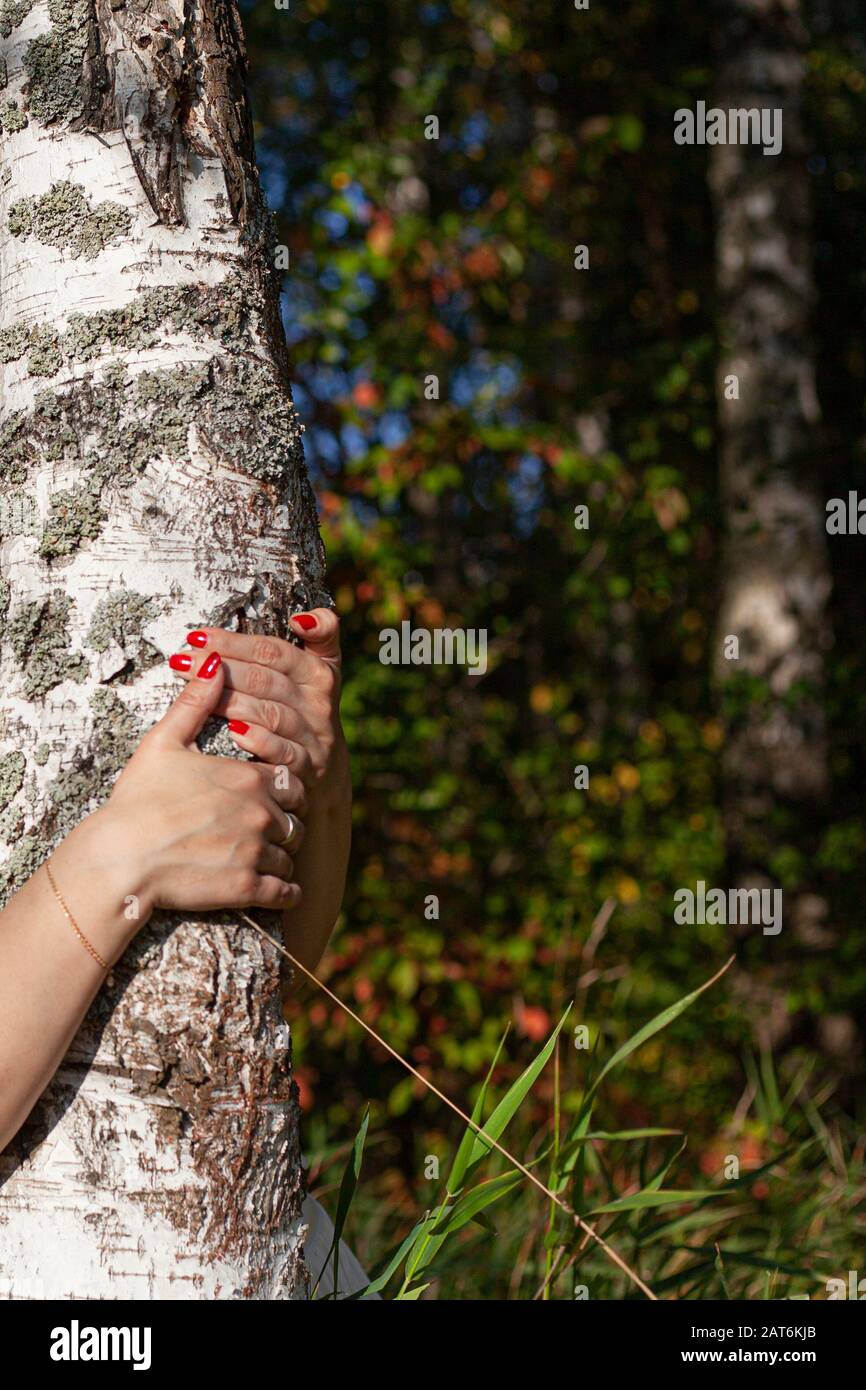 Roter nagellack. Mädchen umarmt eine Birke. Nähe zur Natur. Natürliche Schönheit und helle Maniküre. Romantische Stimmung. Schönheit des russischen Mädchens. Die Energie von Stockfoto