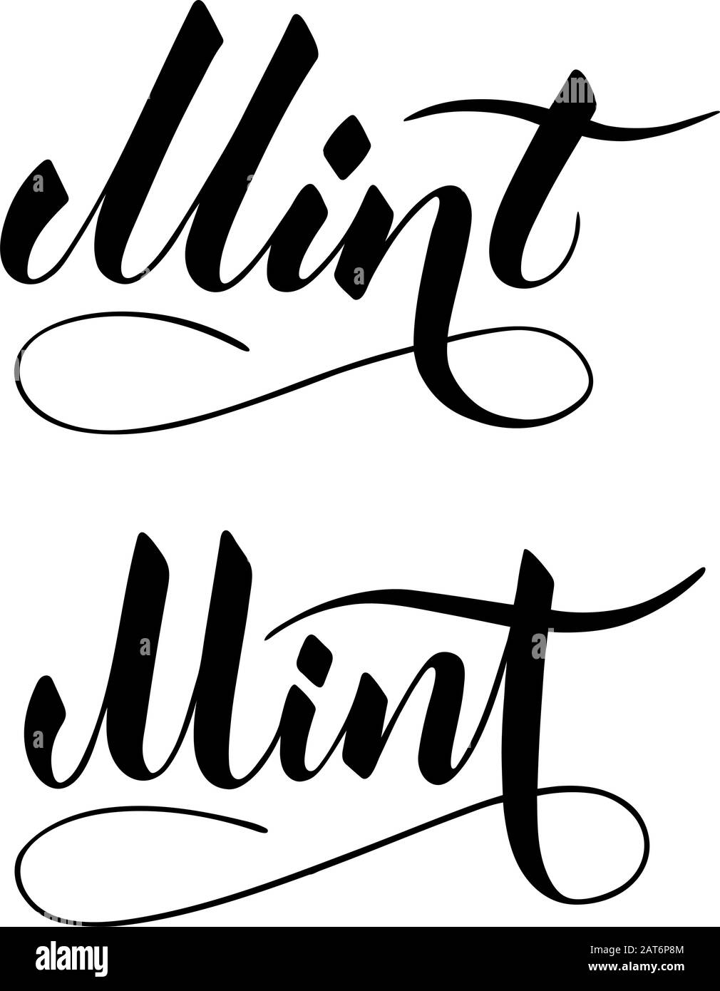 Vector handgeschriebener Minztext isoliert auf weißem Hintergrund. Küche gesunde Kräuter und Gewürze zum Kochen. Schrift mit Pinselschrift mit Aufblühen. H Stock Vektor