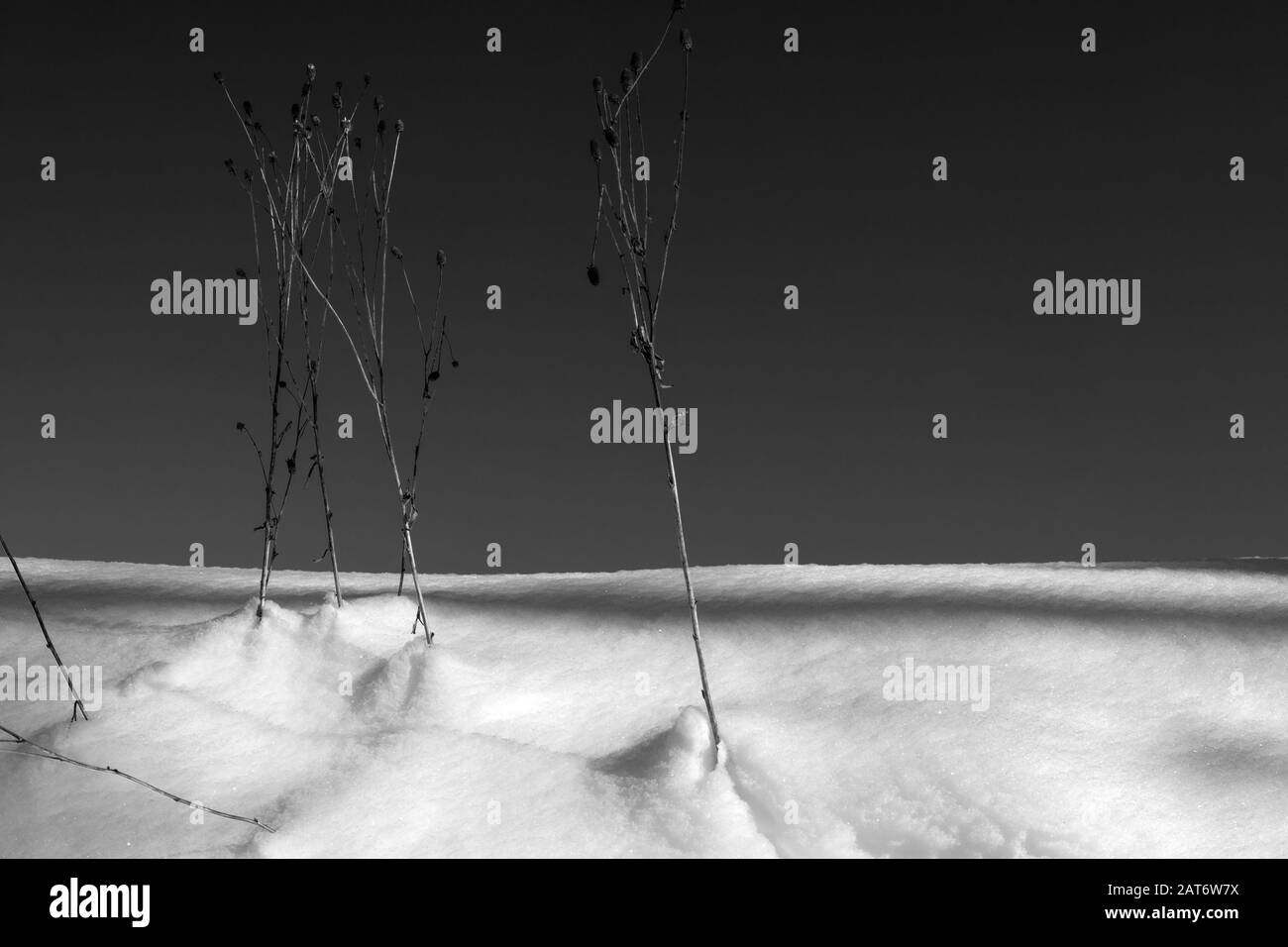 Abstrakte Szenen aus Niseko, Hokkaido, Japan Stockfoto