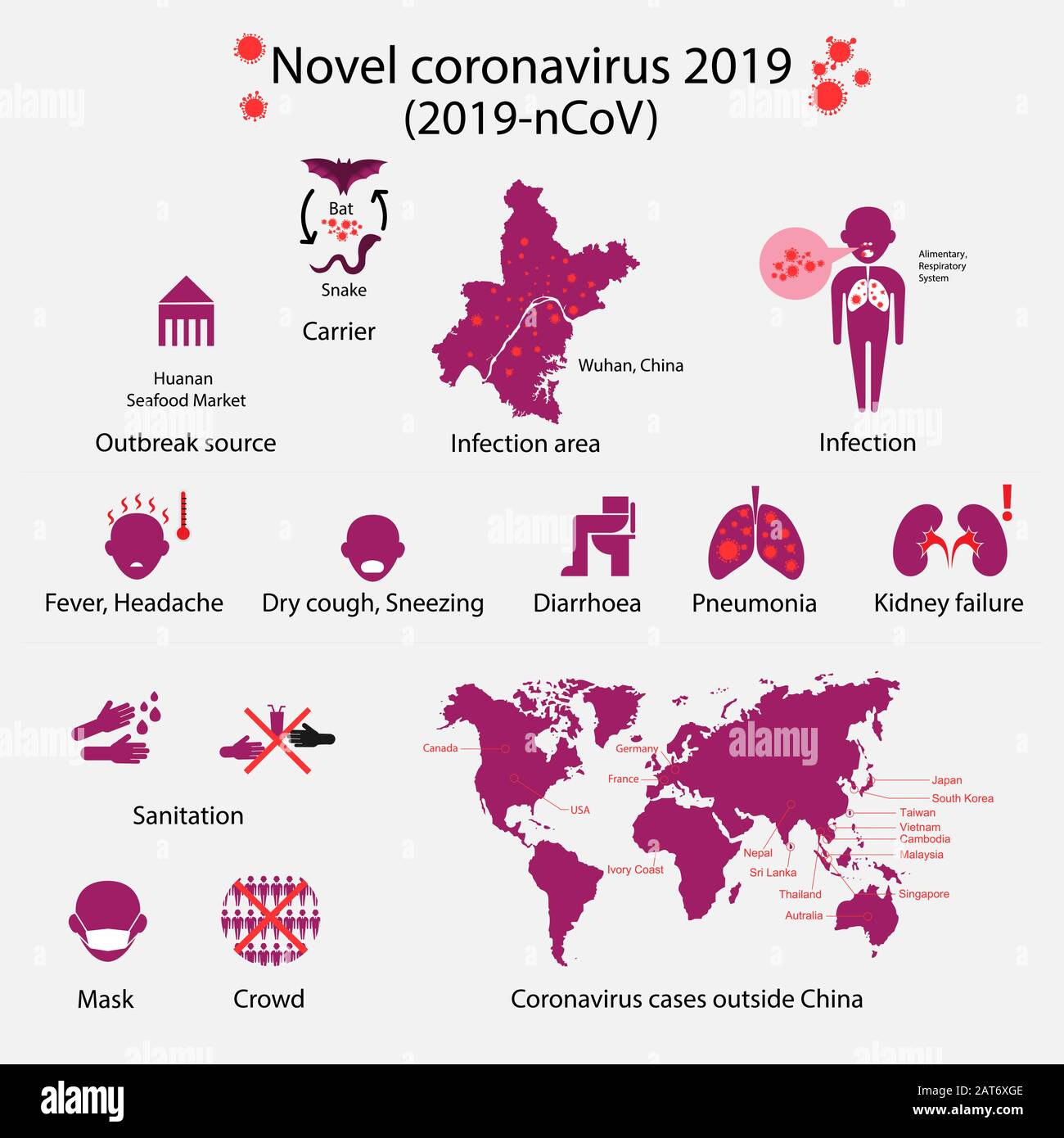 Roman Coronavirus 2019 Infografiken. 2019-nCoV.A neues Atemvirus erstmals in der chinesischen Stadt Wuhan.Vector Illustration entdeckt. Stock Vektor
