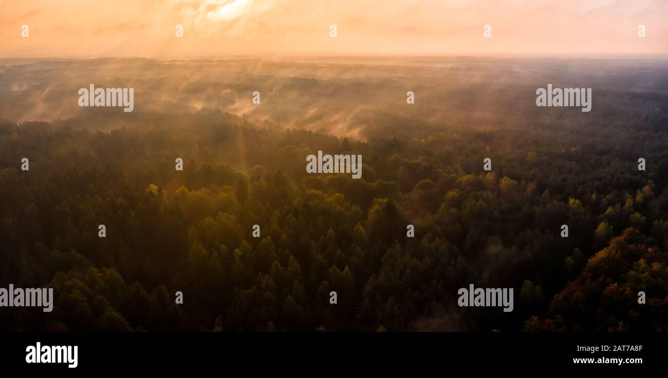 Sonnenaufgang in der herbstlichen Südheide Stockfoto