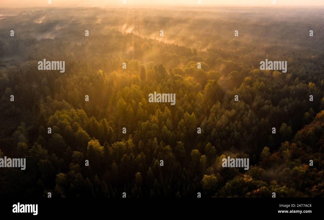 Sonnenaufgang in der herbstlichen Südheide Stockfoto