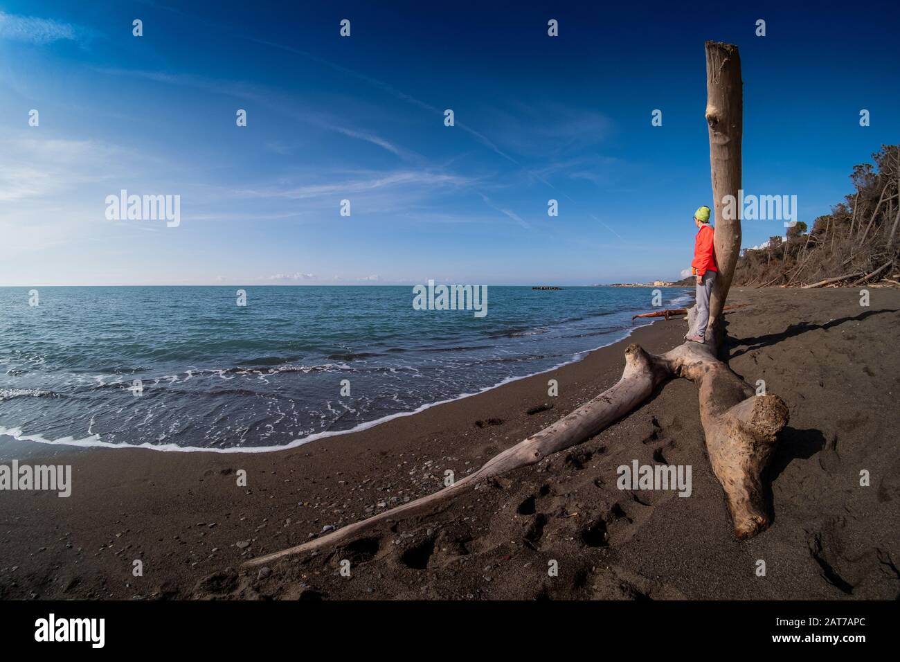 Marina di Cecina - wilde Strände mit Erosionsproblemen und Bäume, die während der Stürme vom Meer gebracht werden, das blaue Meer umgibt diese bezaubernden Orte. Ües Stockfoto