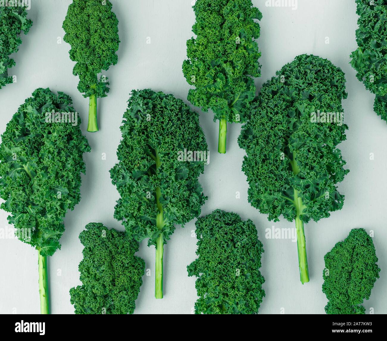 Kale-Muster auf weißem Hintergrund, Draufsicht Stockfoto