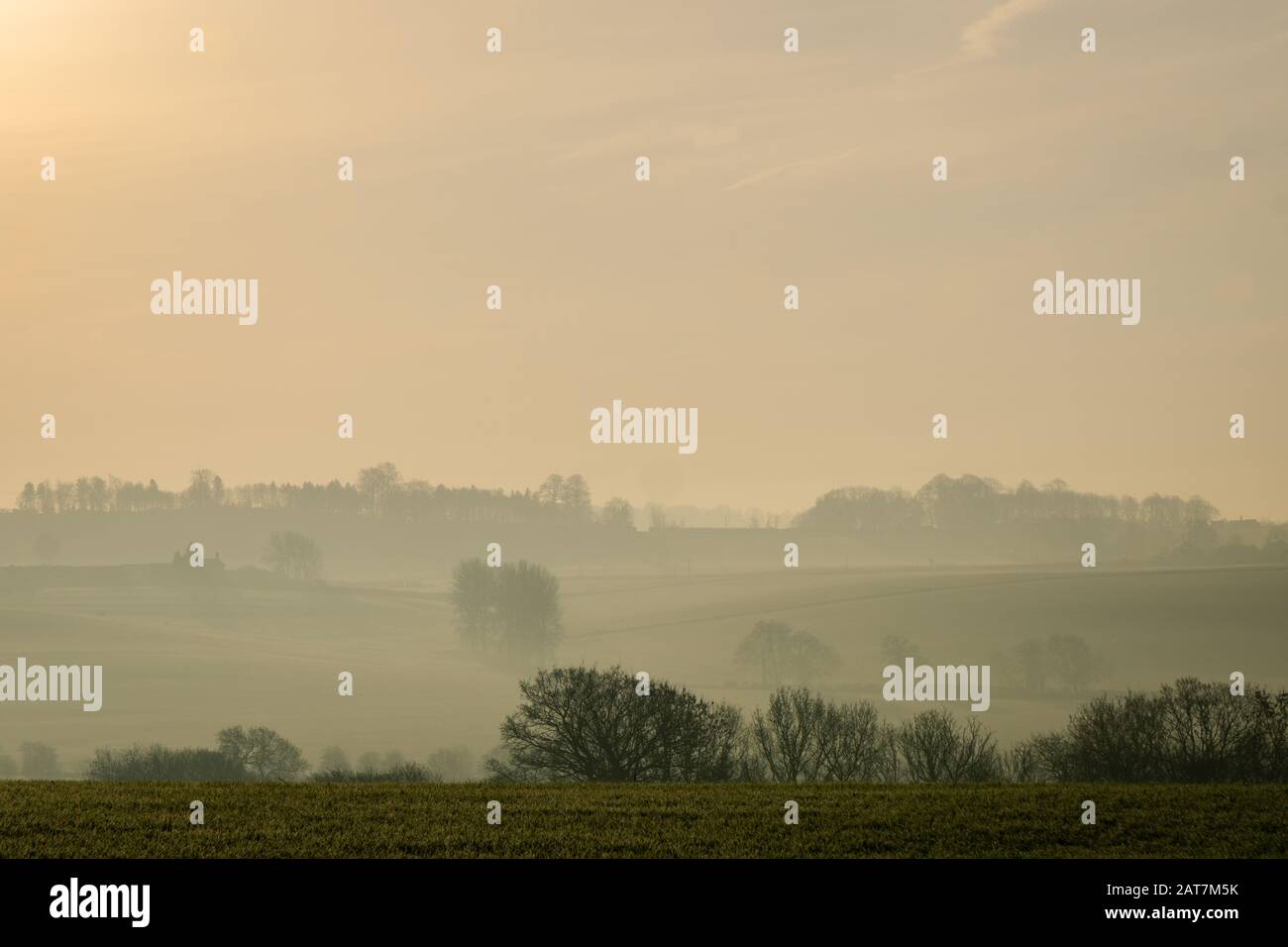 Nebeliger Morgen, goldenes Leuchten über Feldern in Oxfordshire Stockfoto
