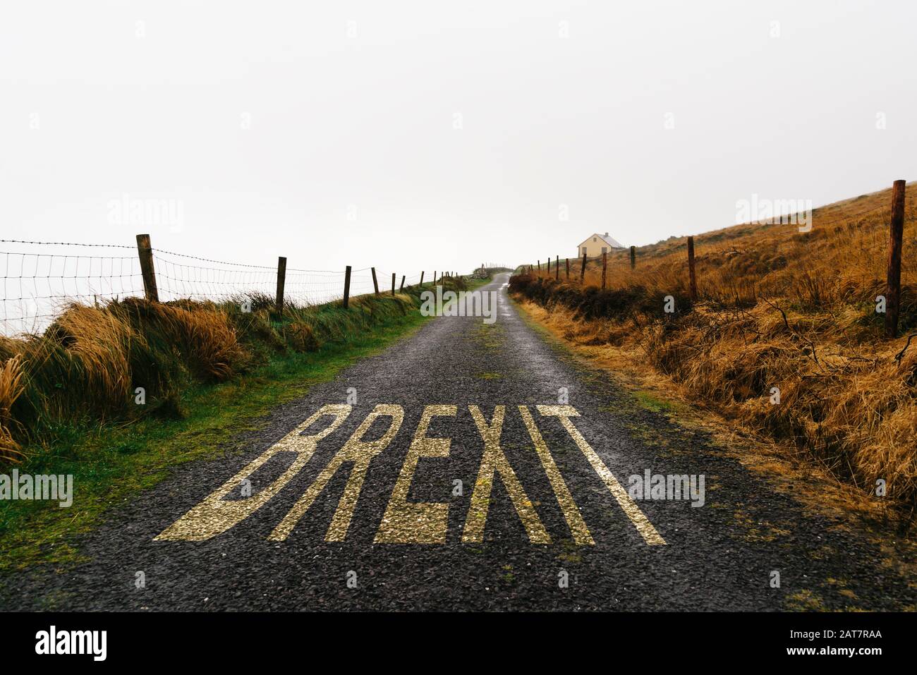 BREXIT Konzept. Straßenmarkierung mit dem Wort Brexit auf abgelegener Straße einen nebligen Tag gemalt. Konzeptunsicherheit und Einsamkeit Stockfoto