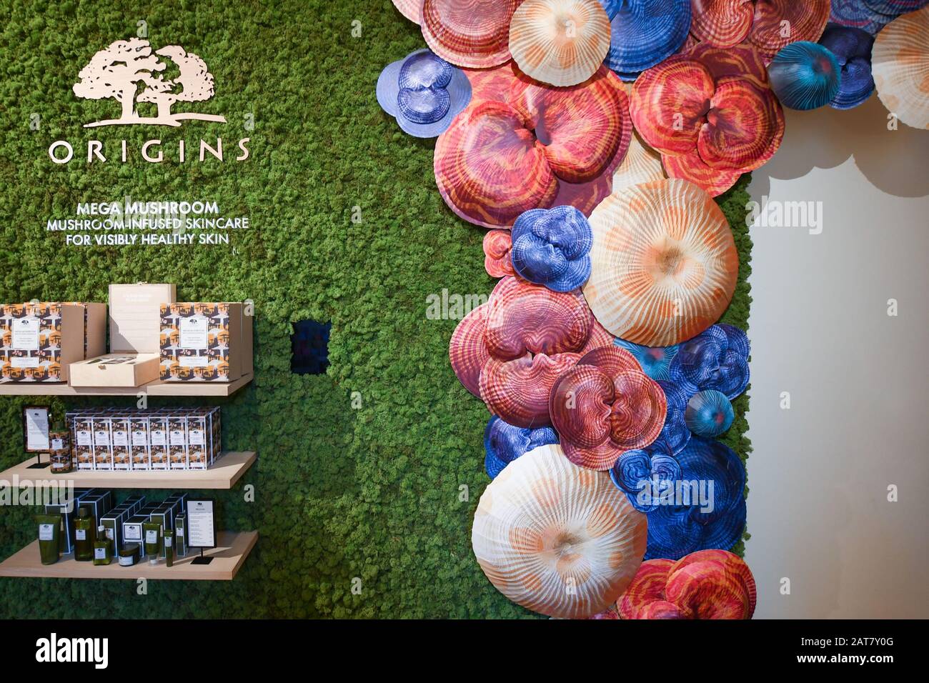 Am 31. Januar bis 26. April wird im Somerset House eine neue Ausstellung über die wunderschöne Welt der Pilze eröffnet. Mit verschiedenen Ausstellungen von 35 Künstlern aus verschiedenen Medientypen, von Filmen über Gemälde bis hin zu Skizzen und Modellen, die alle die faszinierende Welt der Pilze zeigen. Stockfoto