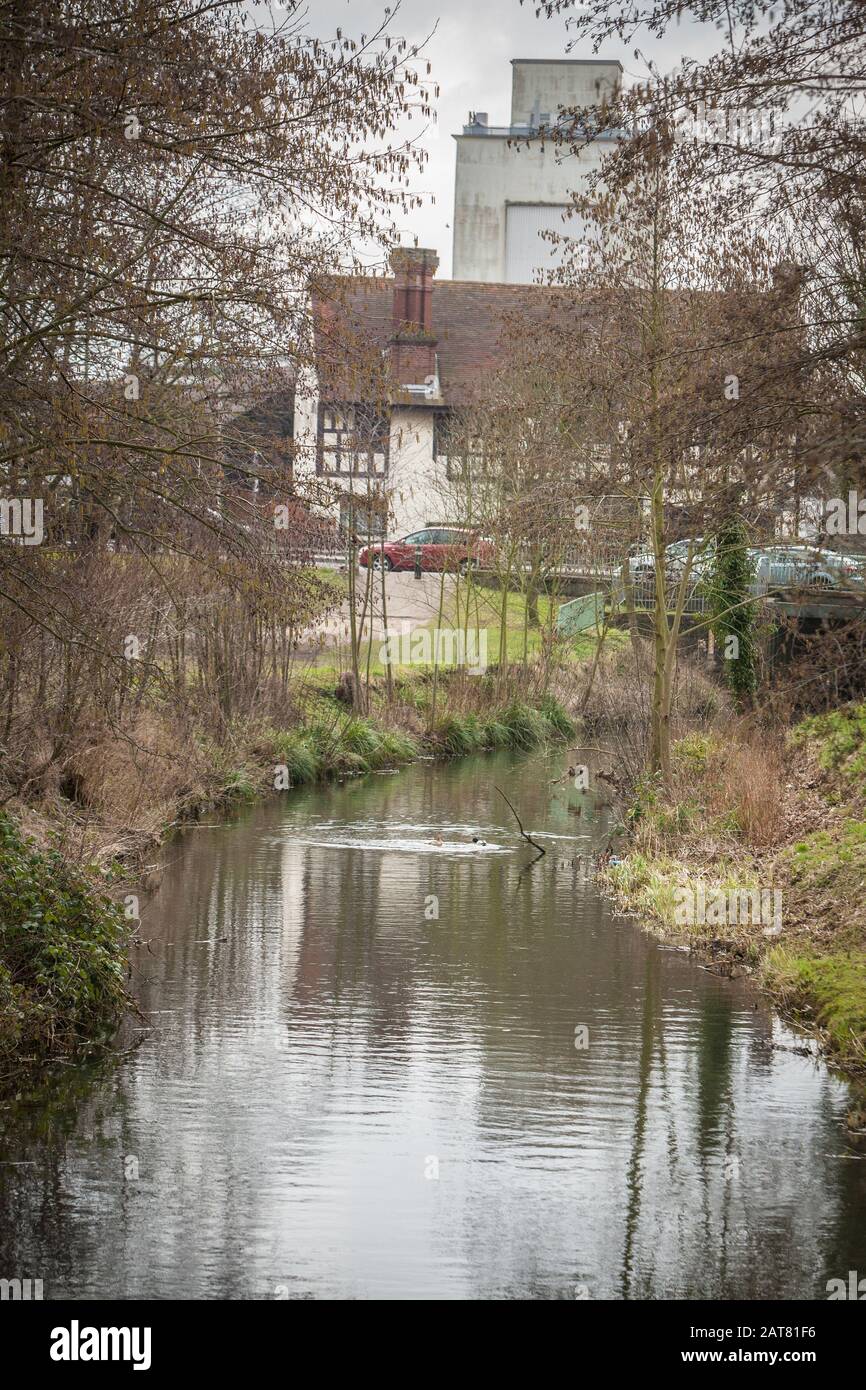 River Start, Bishops Stortford, Hertfordshire, Großbritannien Stockfoto