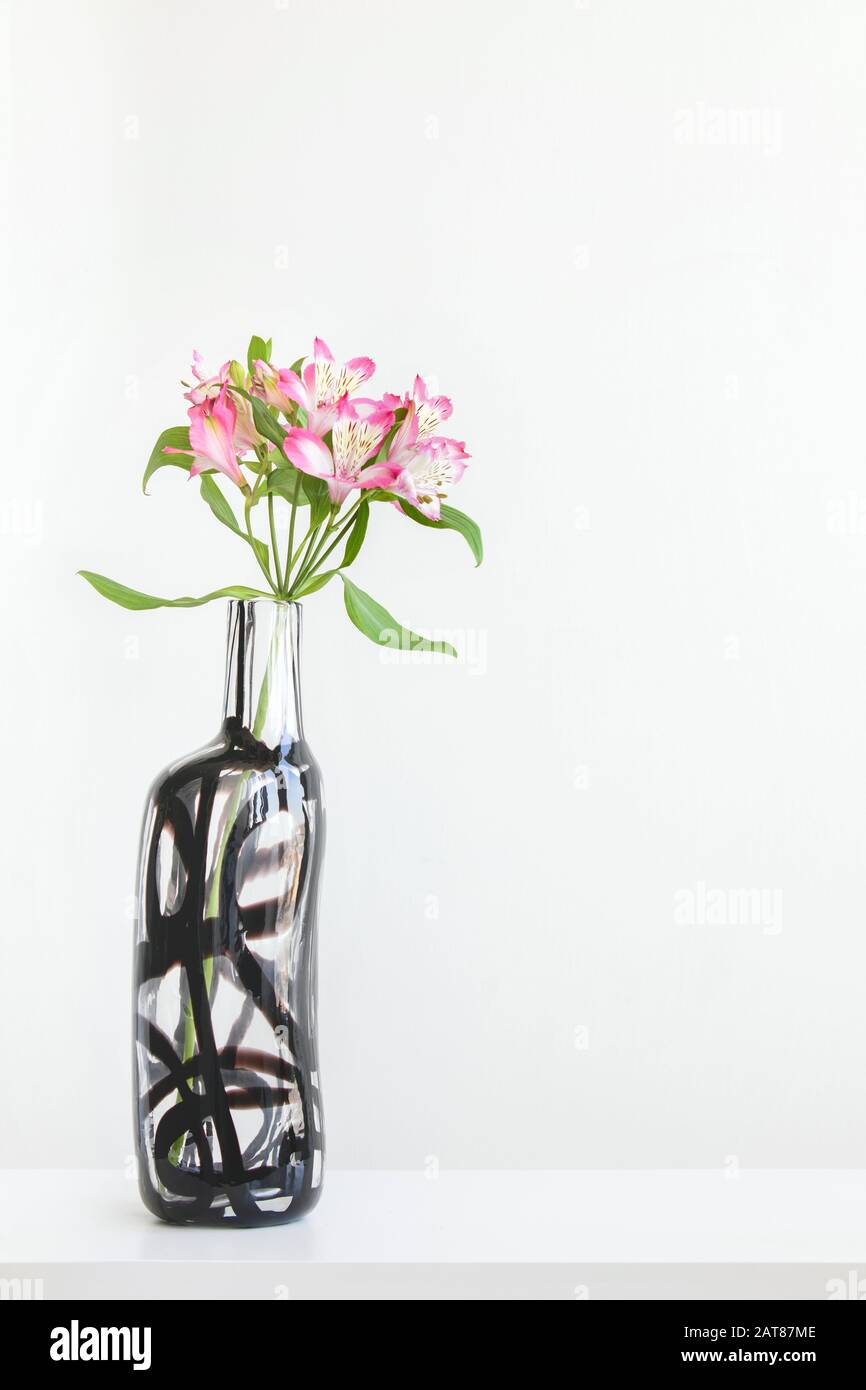 Szene mit hoher rosafarbener alstroemeria in Glasvase auf Tisch auf weißem Wandhintergrund. Elegantes, einfaches, minimales Design mit Platz für Kopien. Stockfoto