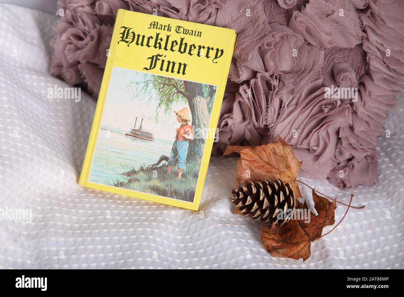 Mark Twain Huckleberry Finn Hardback Buchcover instagram Style Stockfoto