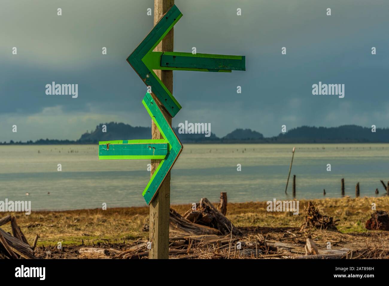Zwei grüne Pfeile, die in verschiedene Richtungen auf einem Straßenschildpfosten zeigen, als der Rand eines Strandes, der mit Treibholz an der Oregon Coast gestreamt ist Stockfoto