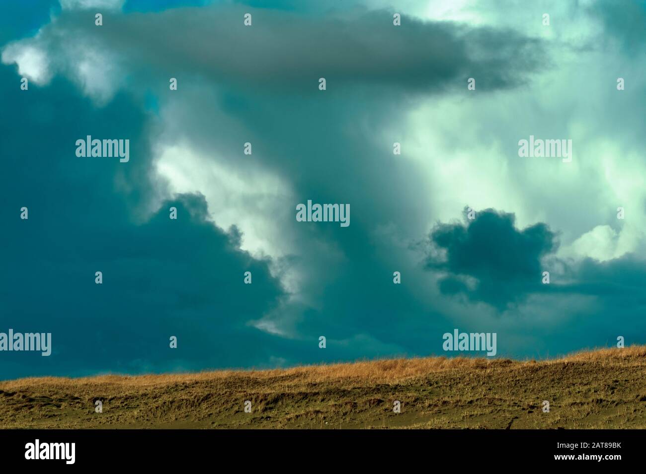 Wolken bilden sich über mit Gras bedeckten Sanddünen an der Oregon Coast. Stockfoto