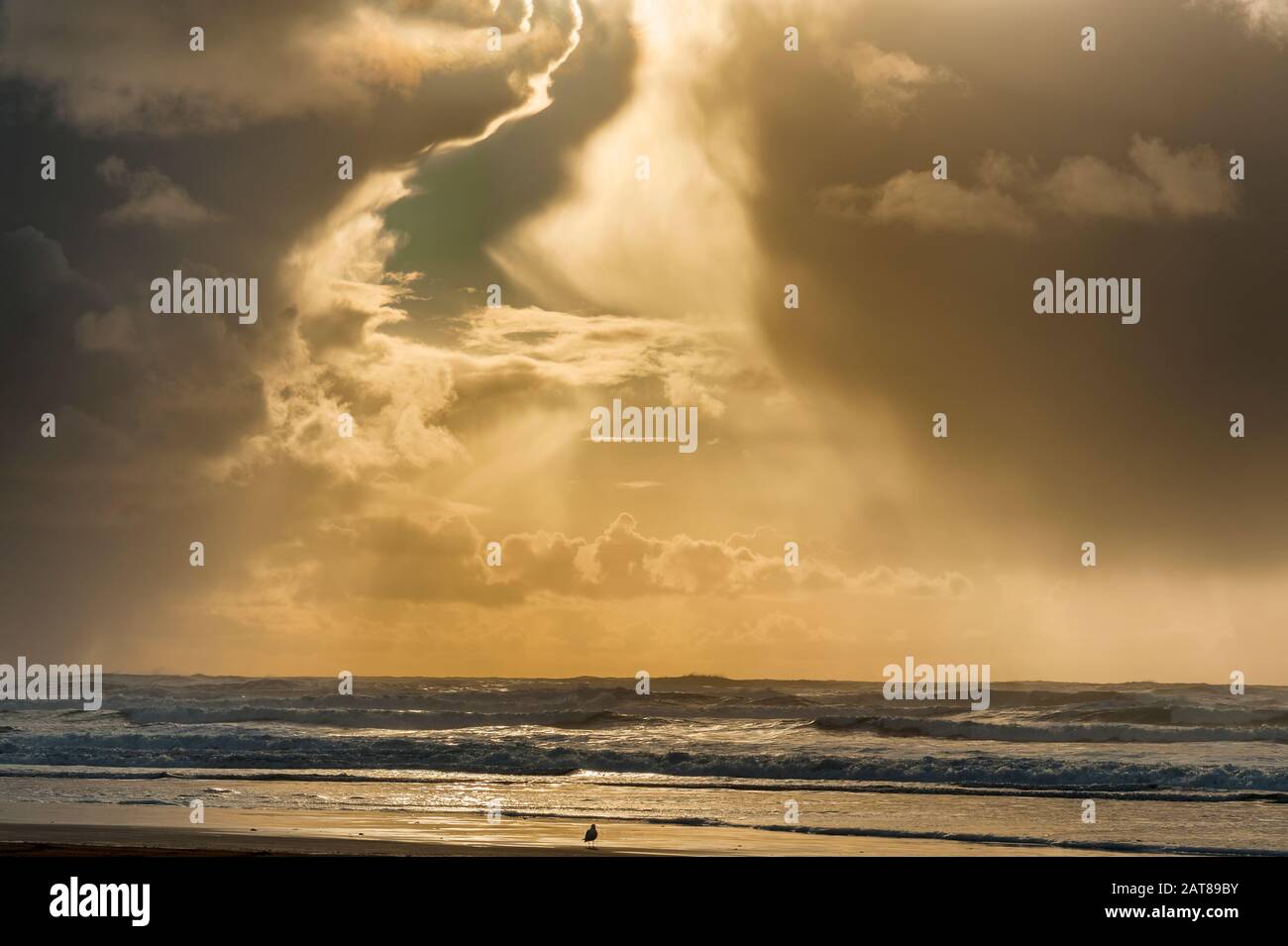 Stürmische Wolken drängen sich aufeinander, als ein Sonnenschein über einem Oregon Küstenstrand ihren Weg bricht Stockfoto