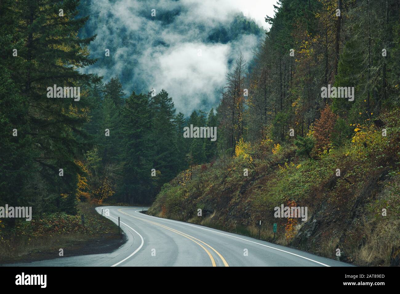 Foto der Straßen von oregon im Willamette National Forest Stockfoto
