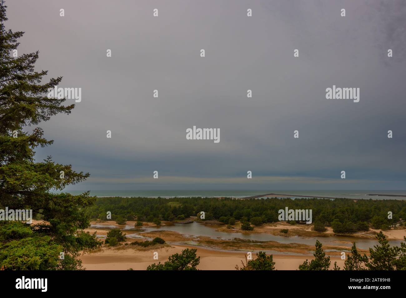 Feuchtgebiete, Sand, im Vordergrund mit Abstand Pazifischer Ozean im Hintergrund mit stürmischen Himmel Provien kopieren Raum in dieser Landschaftsansicht. Stockfoto