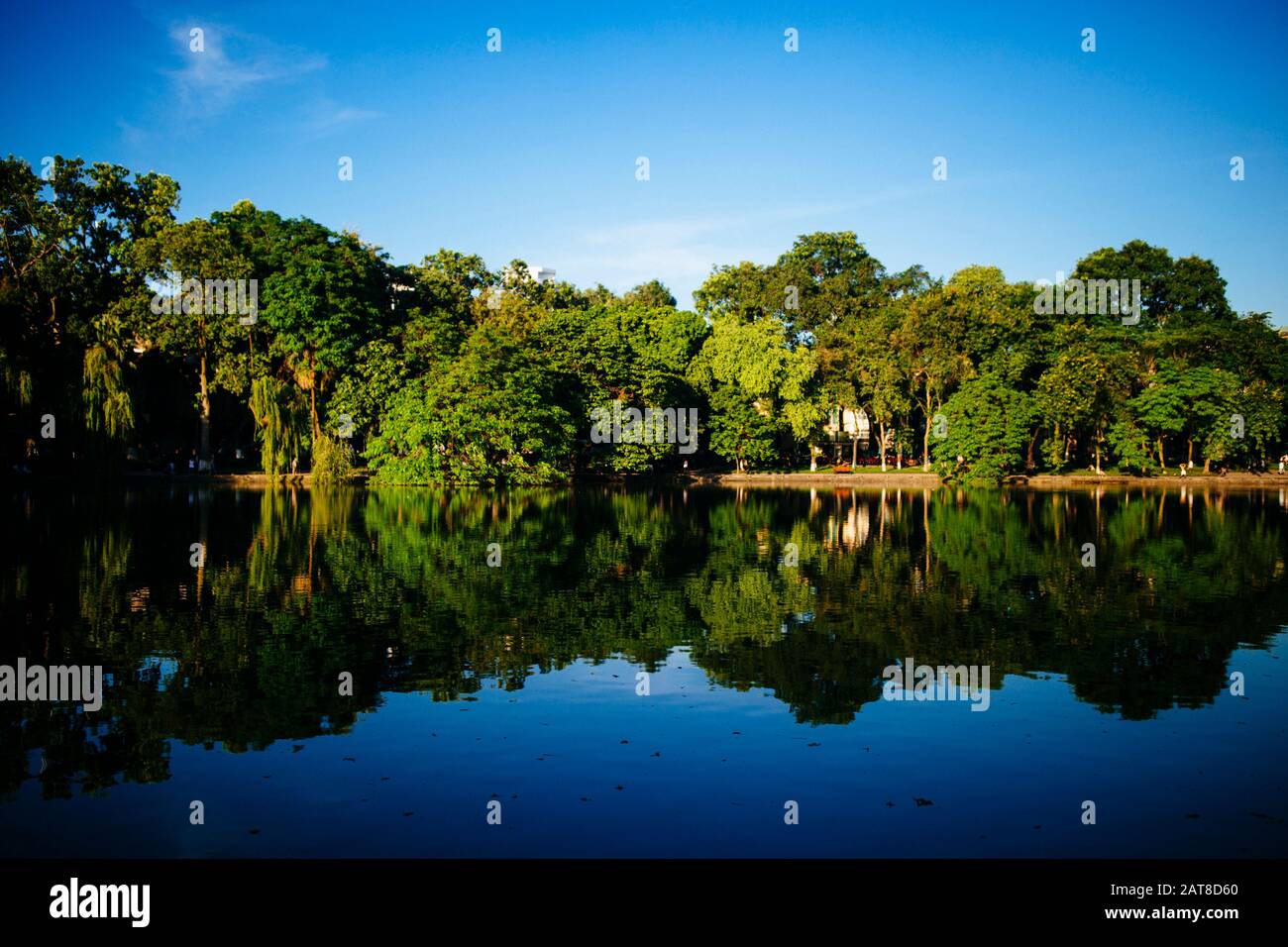 Bäume und blauer Himmel spiegelten sich auf einem See wider. Stockfoto