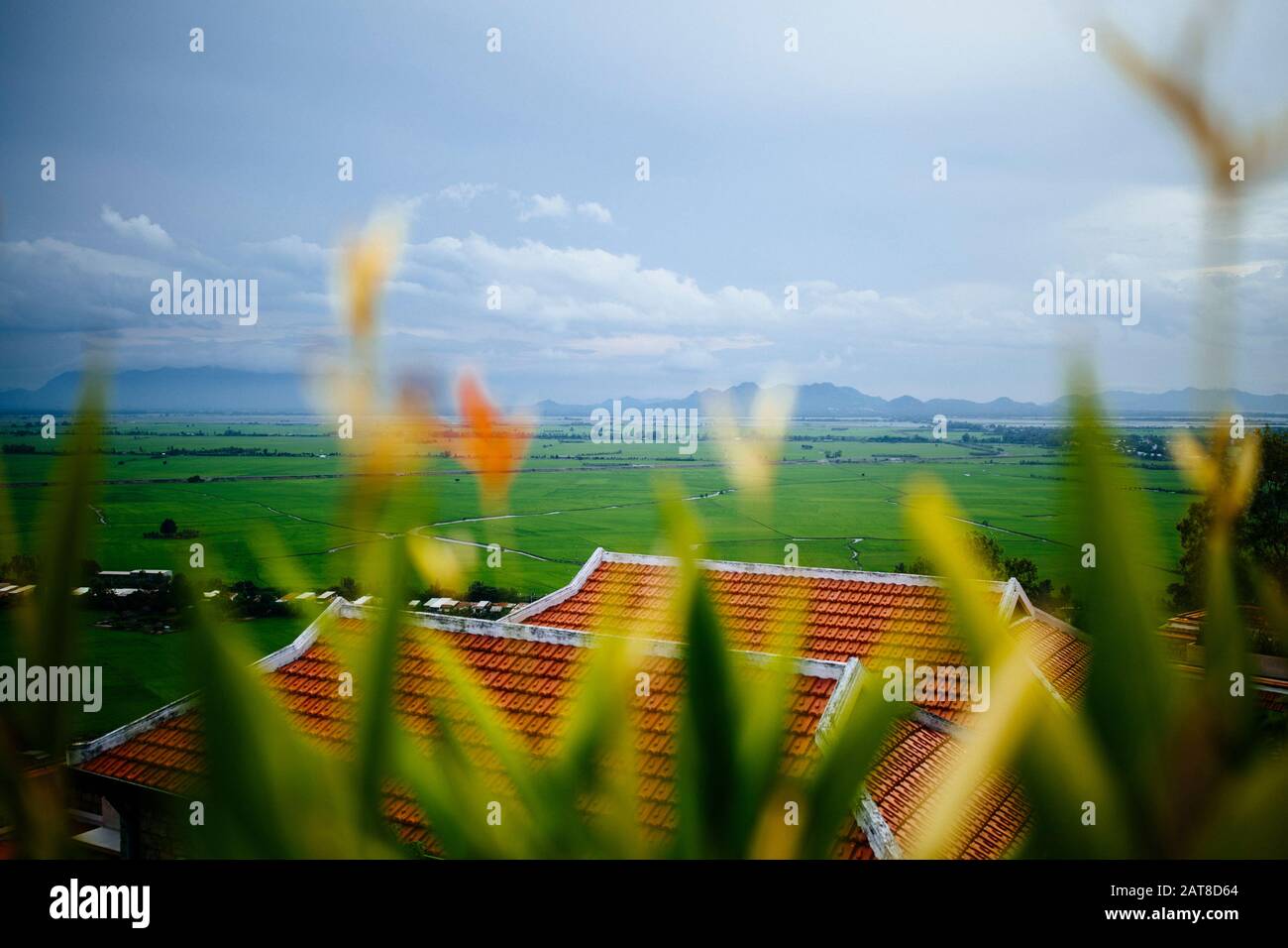 Blick auf die Landschaft mit Reisfeldern und fernen Bergen. Stockfoto