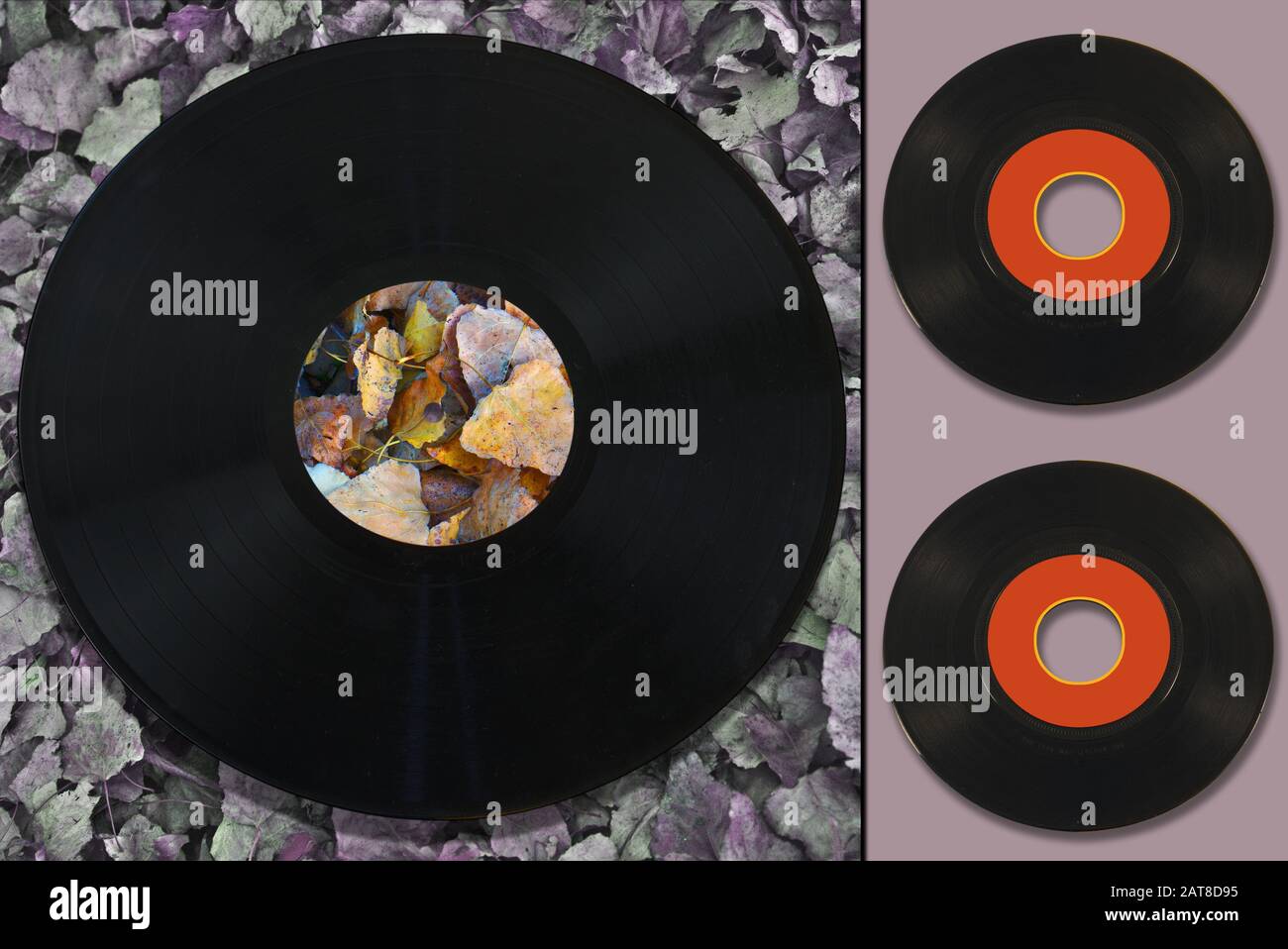 Bunte geometrische Komposition auf dem Hintergrund toter Blätter mit Schallplatten Stockfoto