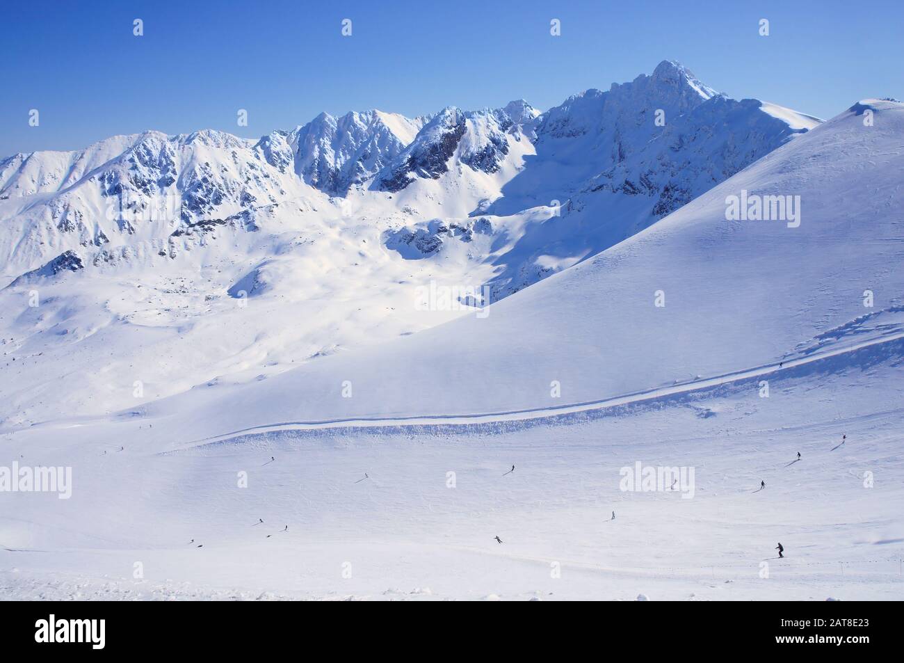 Polnische Tatra im Winter. Blick vom Gipfel Kasprowy Wierch auf der Skipiste Stockfoto