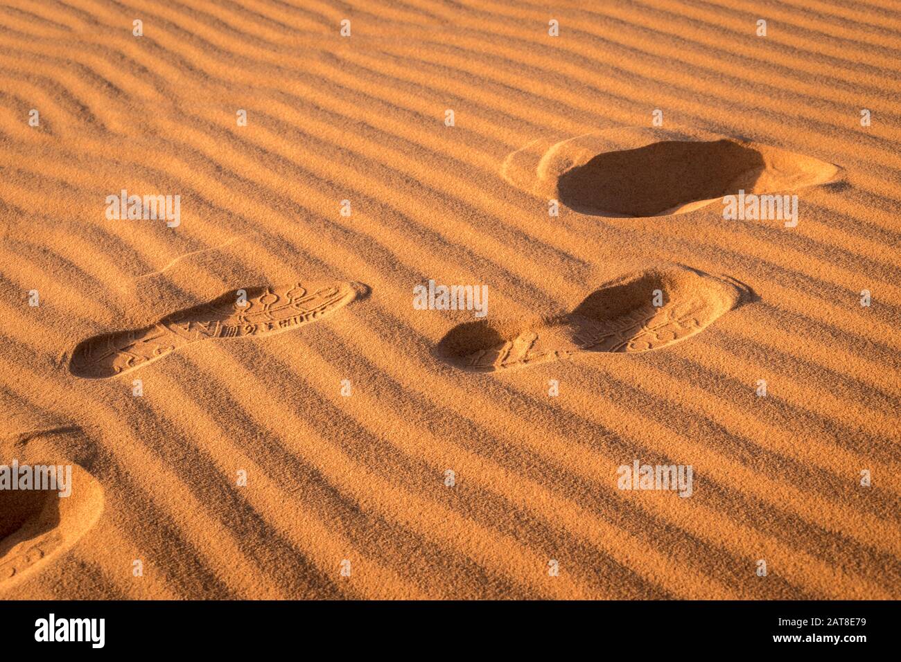 Fußabdrücke im Sand, Sahara, Merzouga, Marokko Stockfoto