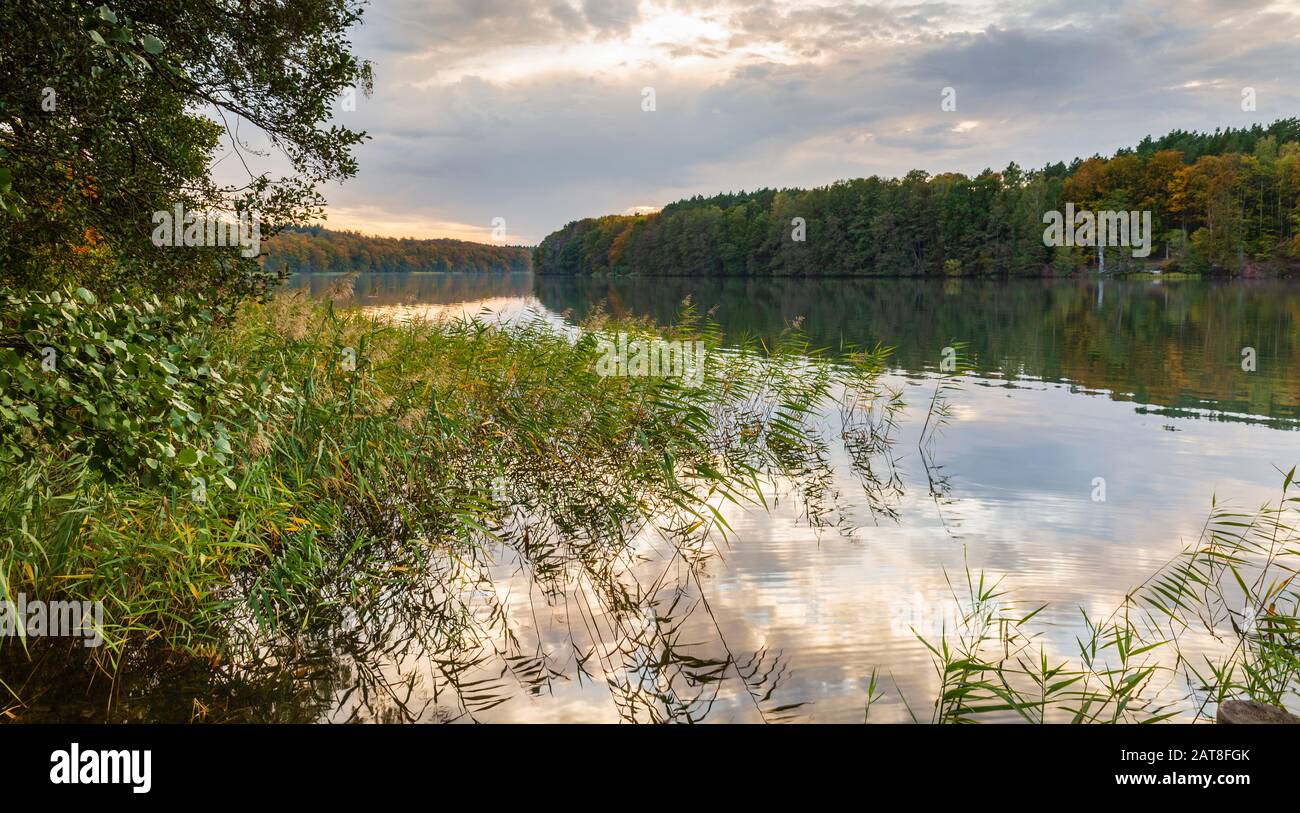 Der infolge der letzten Eiszeit entstandene Brandenburger See (Liepnitzsee genannt) vermittelt im milden Abendlicht Reinheit und Ruhe. Stockfoto