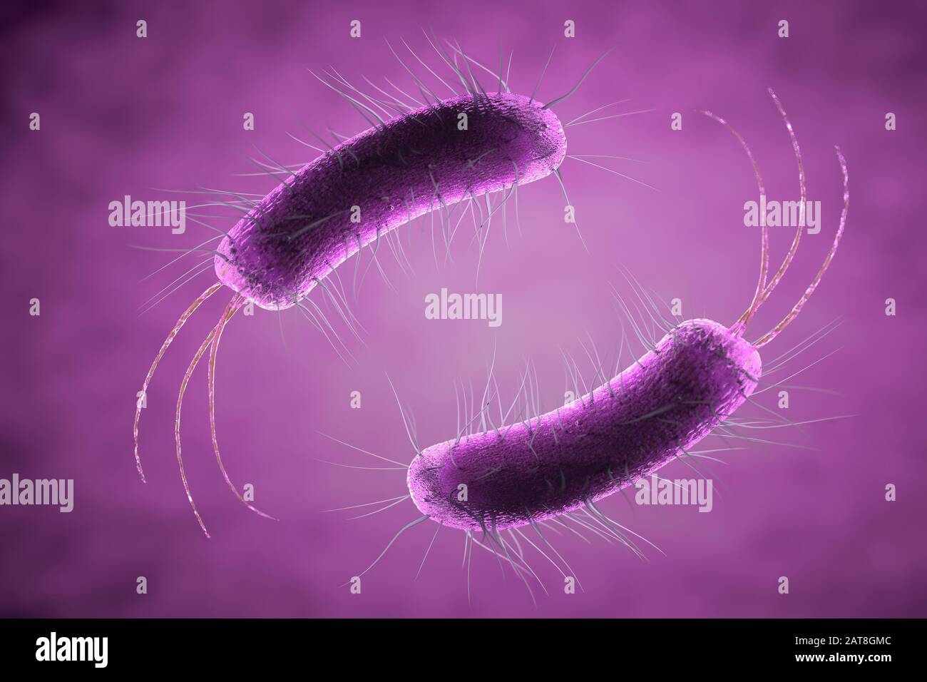 Nahaufnahme mikroskopischer Bakterien, 3D-Abbildung Stockfoto