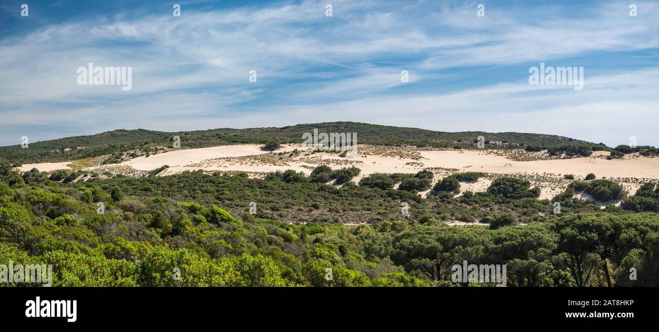 Dune di Piscinas, in der Nähe von Spiaggia Piscinas Strand, Arburese Gebirge in der Ferne, Costa Verde, Provinz Sud Sardegna, Sardinien, Italien Stockfoto