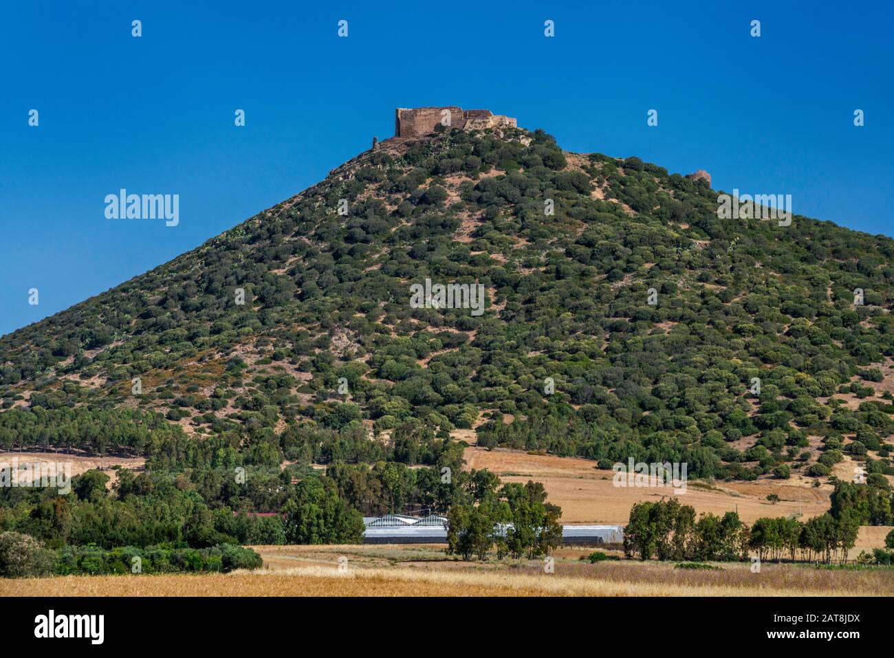 Castello di Montréale, mittelalterliche Burg aus dem 14. Jahrhundert auf einem Hügel in der Nähe von Sardara, der Ebene von Campidano, der Region Marmilla, der Provinz Sud Sardegna, Sardinien, Stockfoto