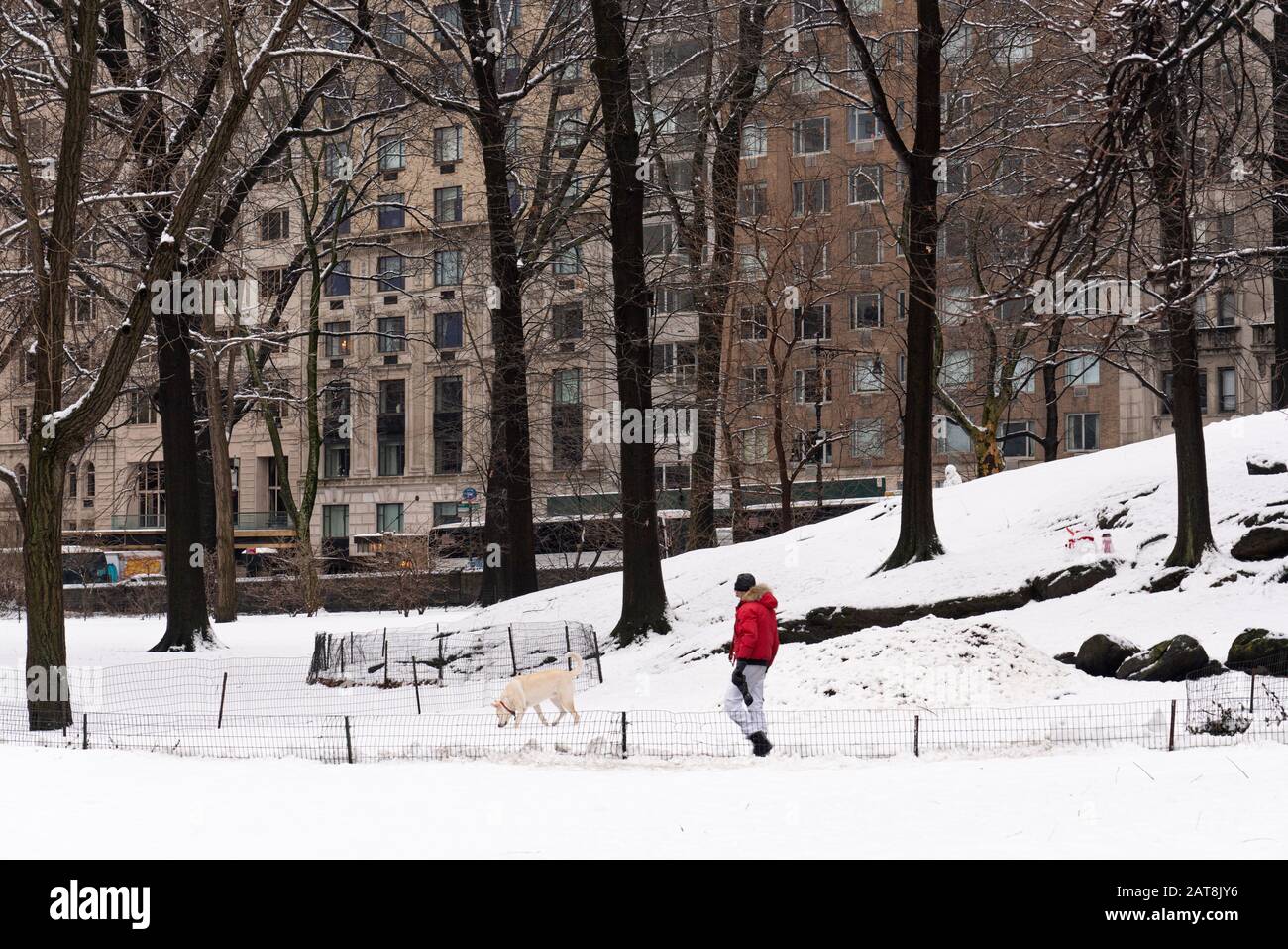 Mann mit Hund, roter Jacke, Spaziergang im weißen, schneebedeckten Central Park an einem Wintermorgen. Stockfoto