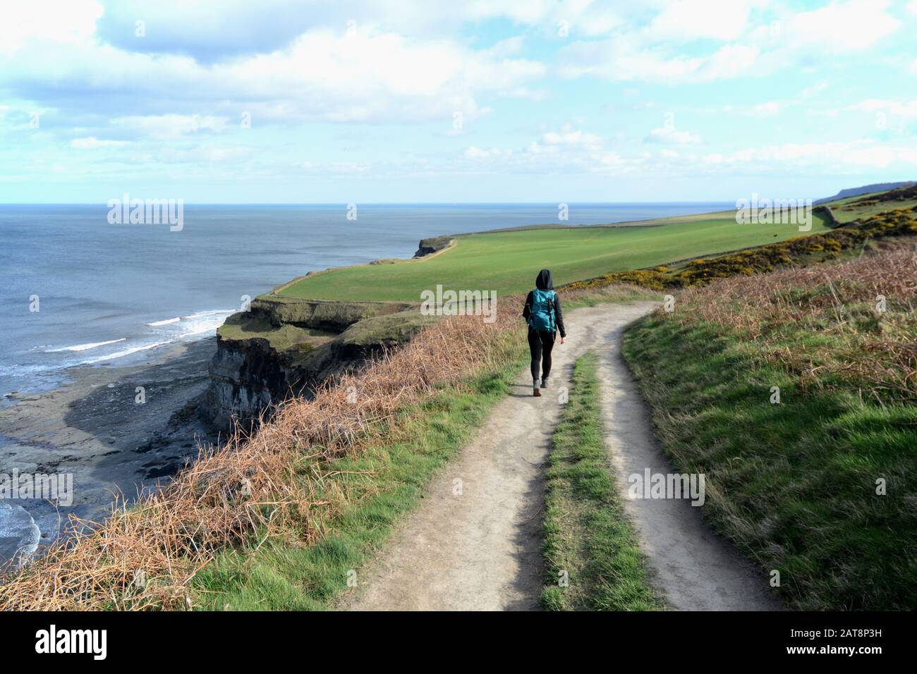 Ein weiblicher Wanderer, der auf dem Cleveland Way spazieren geht, ein Wanderweg im North York Moors National Park, Yorkshire, Nordengland, Großbritannien. Stockfoto