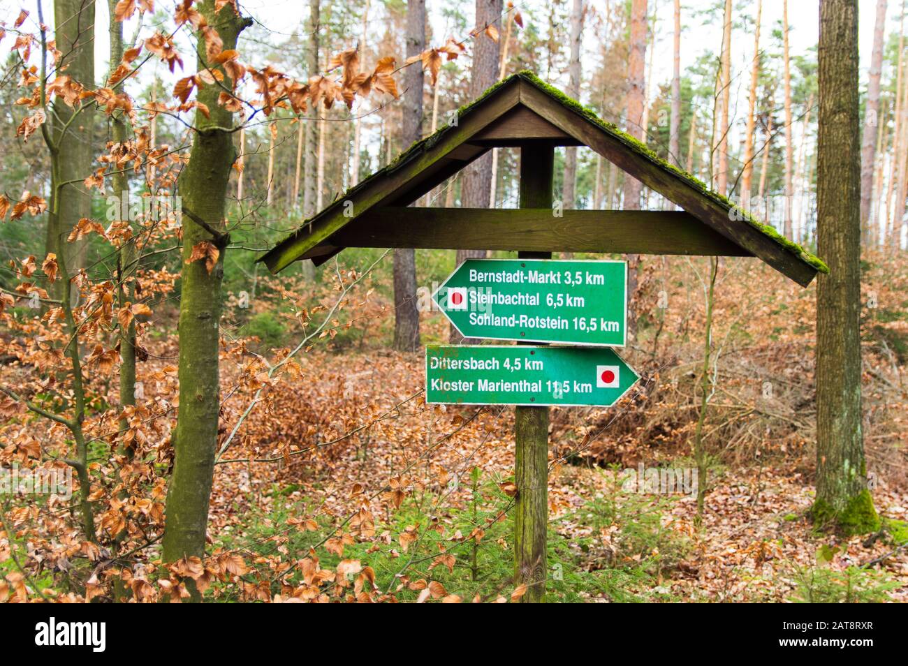 Wegweiser im deutschen Wald, der Richtung Dittersbach, Bernstadt und Kloster Marienthal in Ostritz zeigt Stockfoto