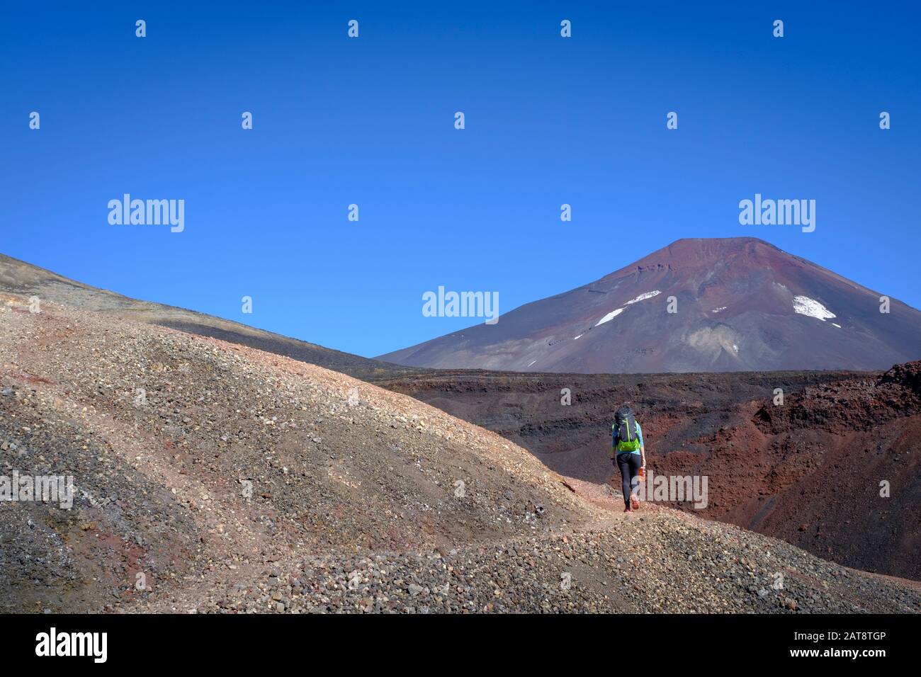 Frau steigt mit dem Lonquimay-Vulkan im Hintergrund auf den Weihnachtskrater. Malalcahuello-Nalcas National Reserve. Region Araucania. Chile. Stockfoto