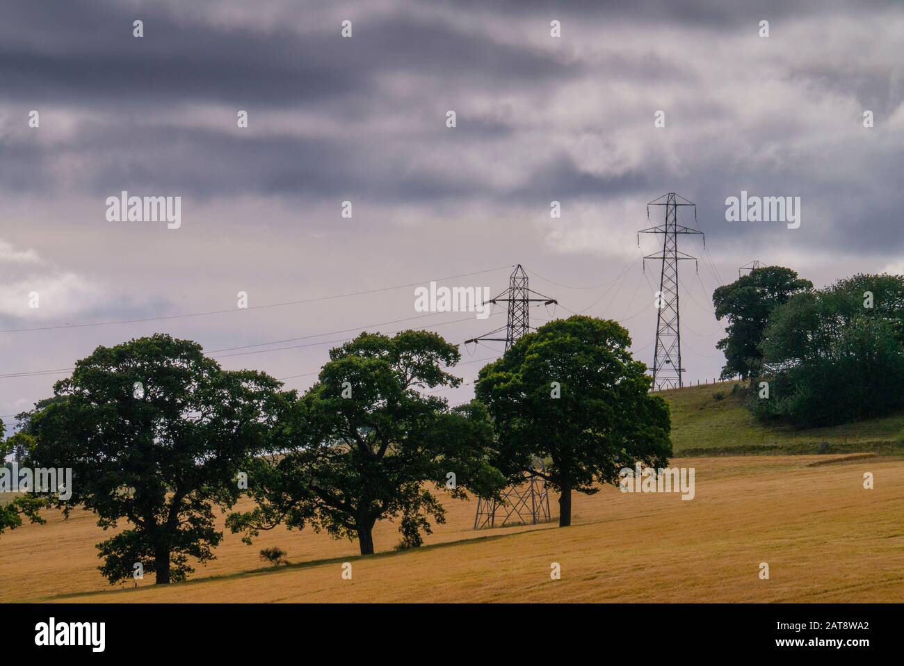 Ländliche Ackerlandschaft mit Bäumen und Pylonen in den schottischen Highlands Inverness-shire Scotland UK Stockfoto