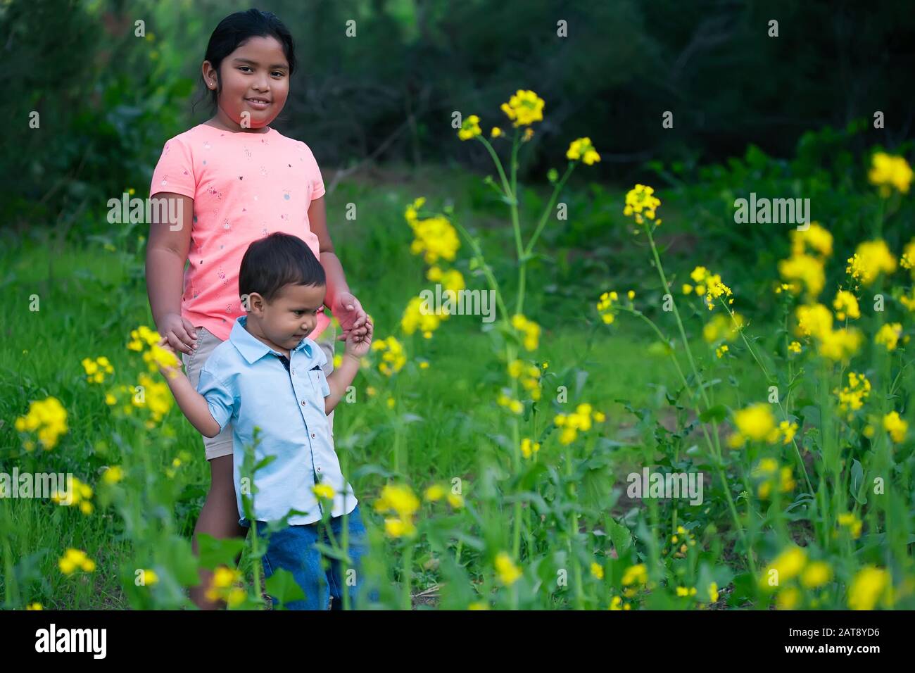 Eine große Schwester hilft ihrem kleinen Bruder, durch einen Naturpfad voller gelber Wildblumen zu gehen. Stockfoto