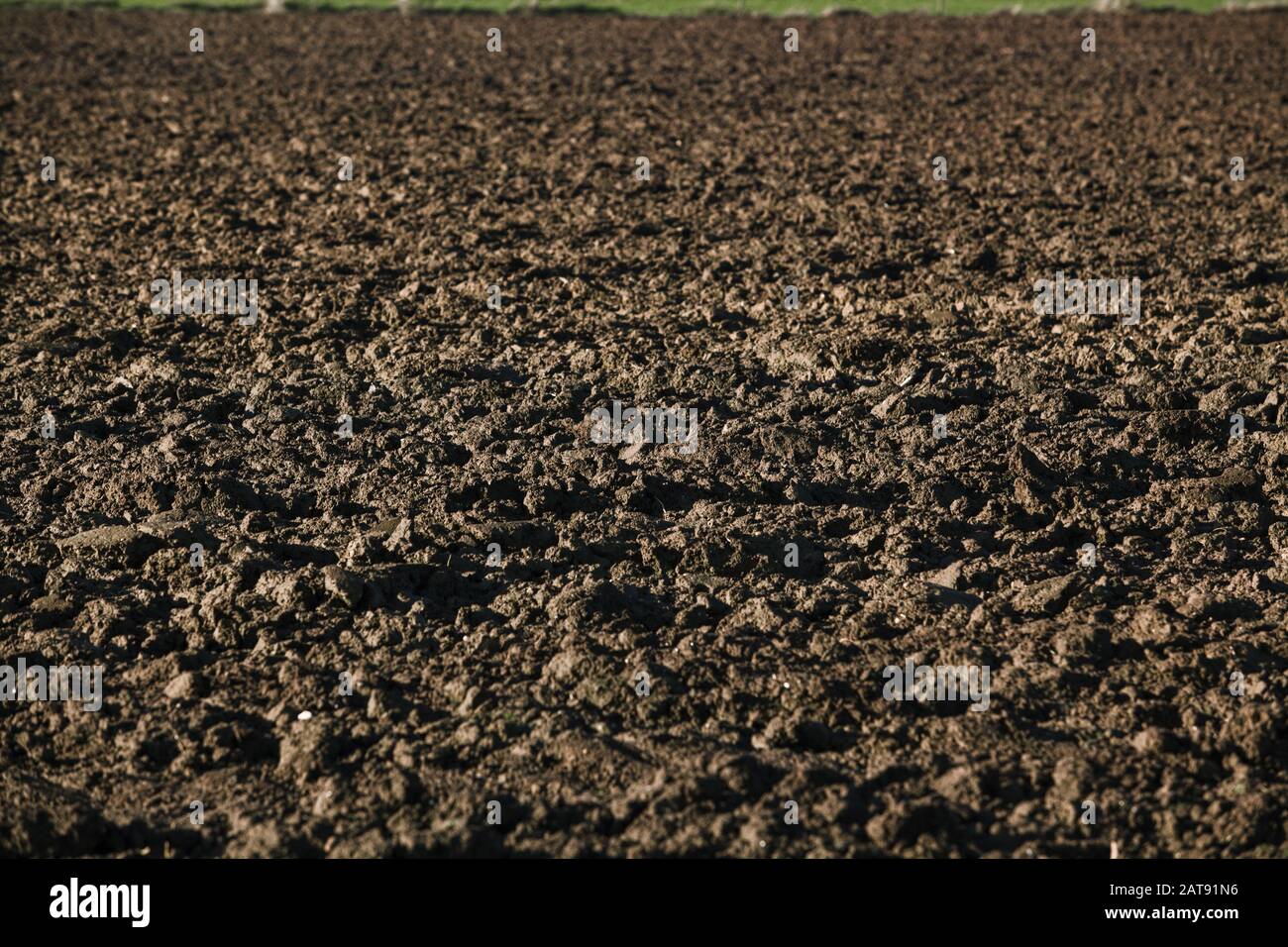 Gepflügten Feldes. Hintergrund von einem gepflügten Feldes Stockfoto