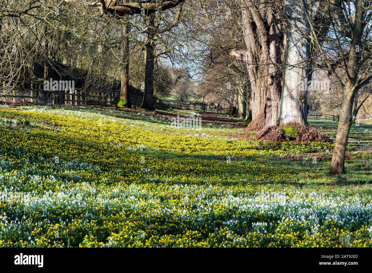 Welford Park, Berkshire, Großbritannien. Stockfoto