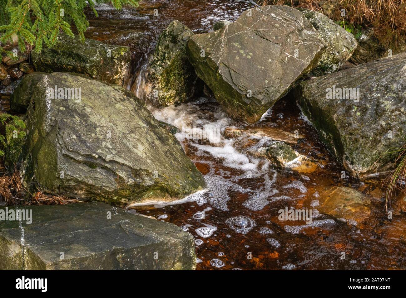 .Foto in den Hohen Fens, Baraque Michel, Jalhay, Belgien. Stockfoto