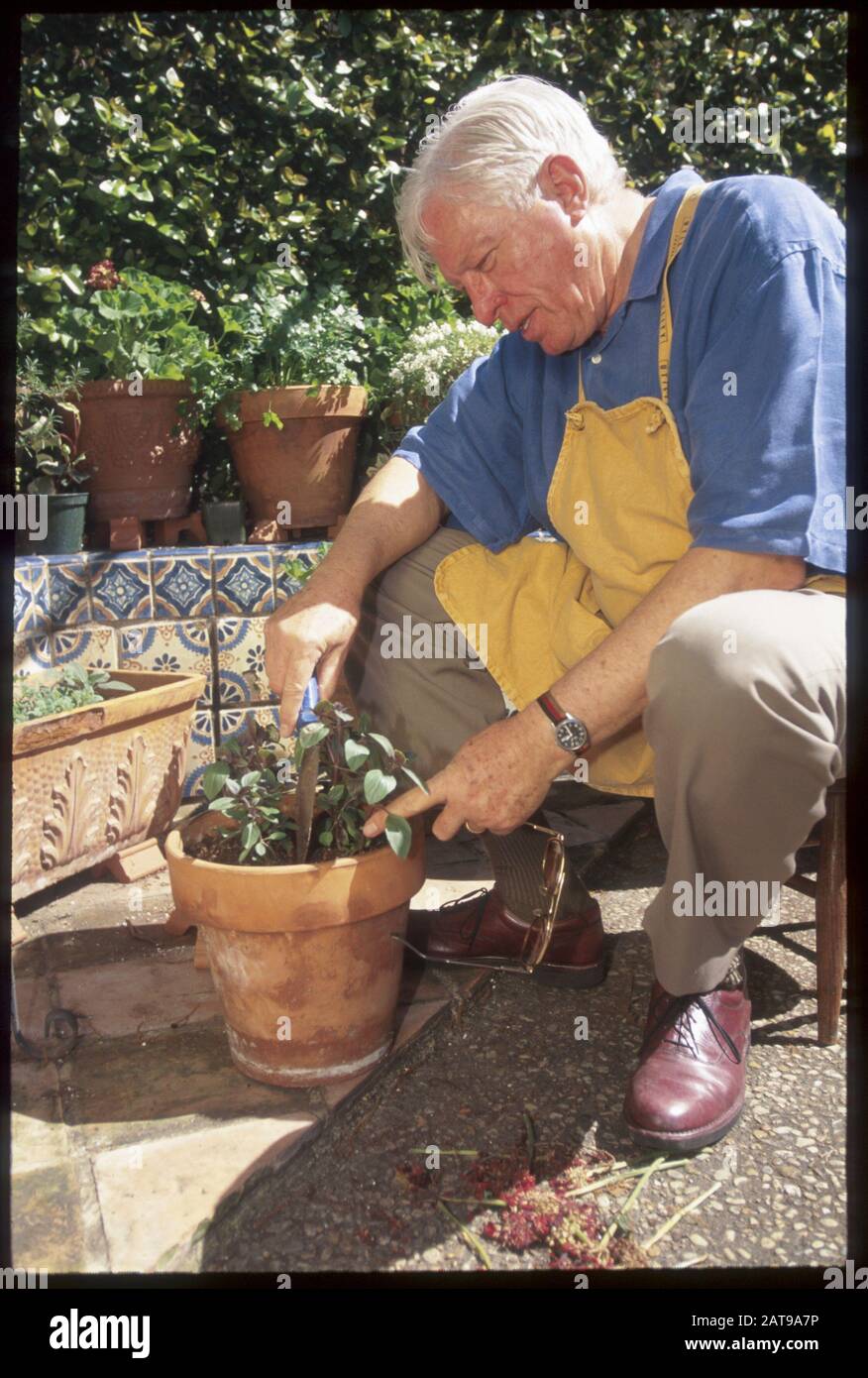 Austin, Texas: Ein älterer Mann stellt Pflanzen in seinen Garten. ©Bob Daemmrich Stockfoto