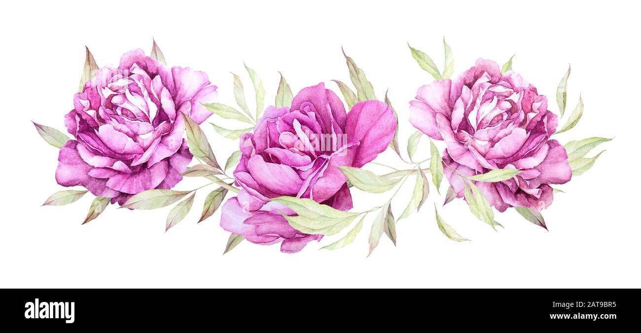 Wasserfarbenblumen. Vintage Peony. Einrichtung Für Hochzeitseinladungen. Luxuriöse pinke Blumen, Blätter. Vorgefertigte Komposition. Weißer Hintergrund. Stockfoto