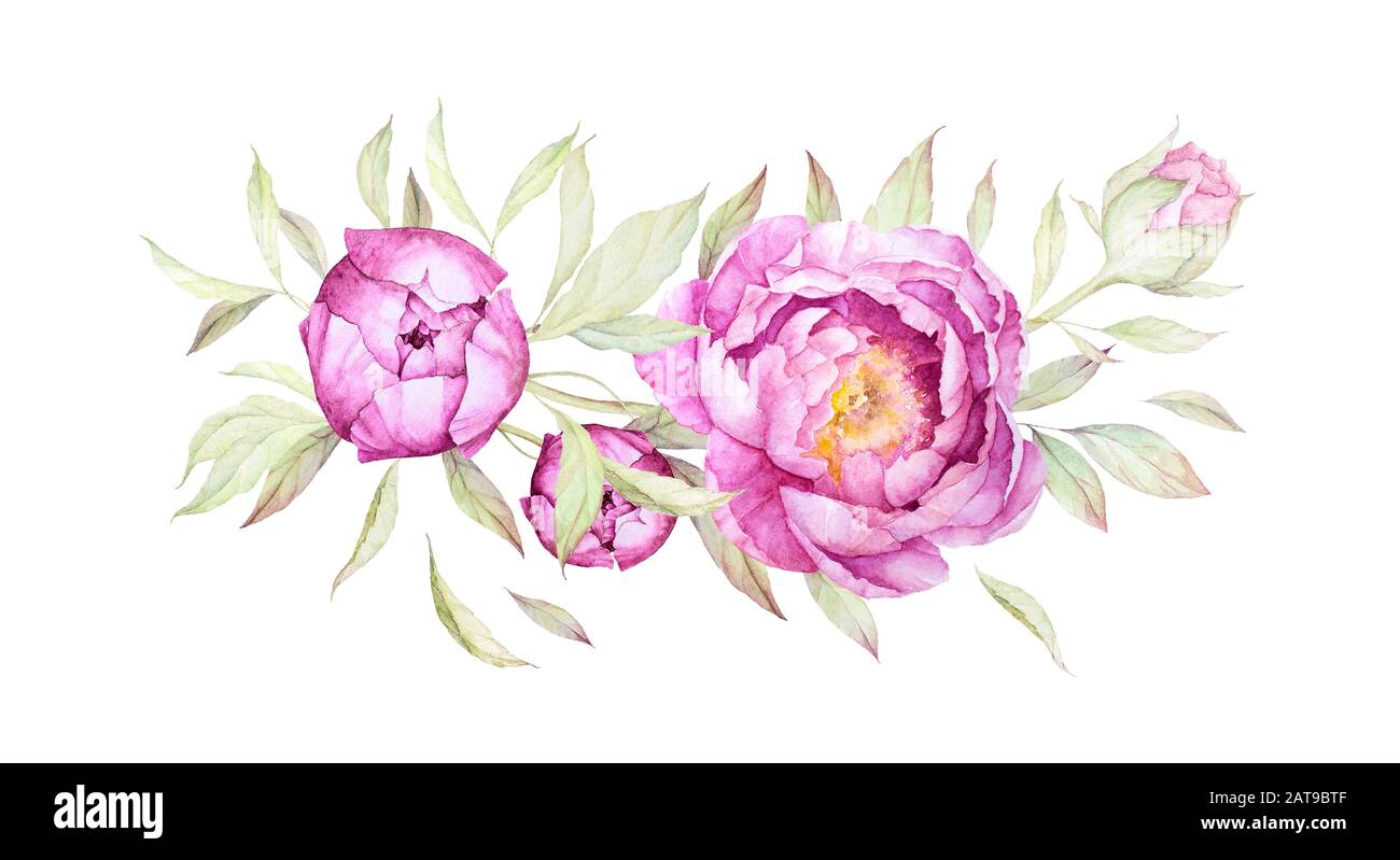 Wasserfarbenblumen. Vintage Peony. Einrichtung Für Hochzeitseinladungen. Luxuriöse pinke Blumen, Blätter. Vorgefertigte Komposition. Weißer Hintergrund. Stockfoto