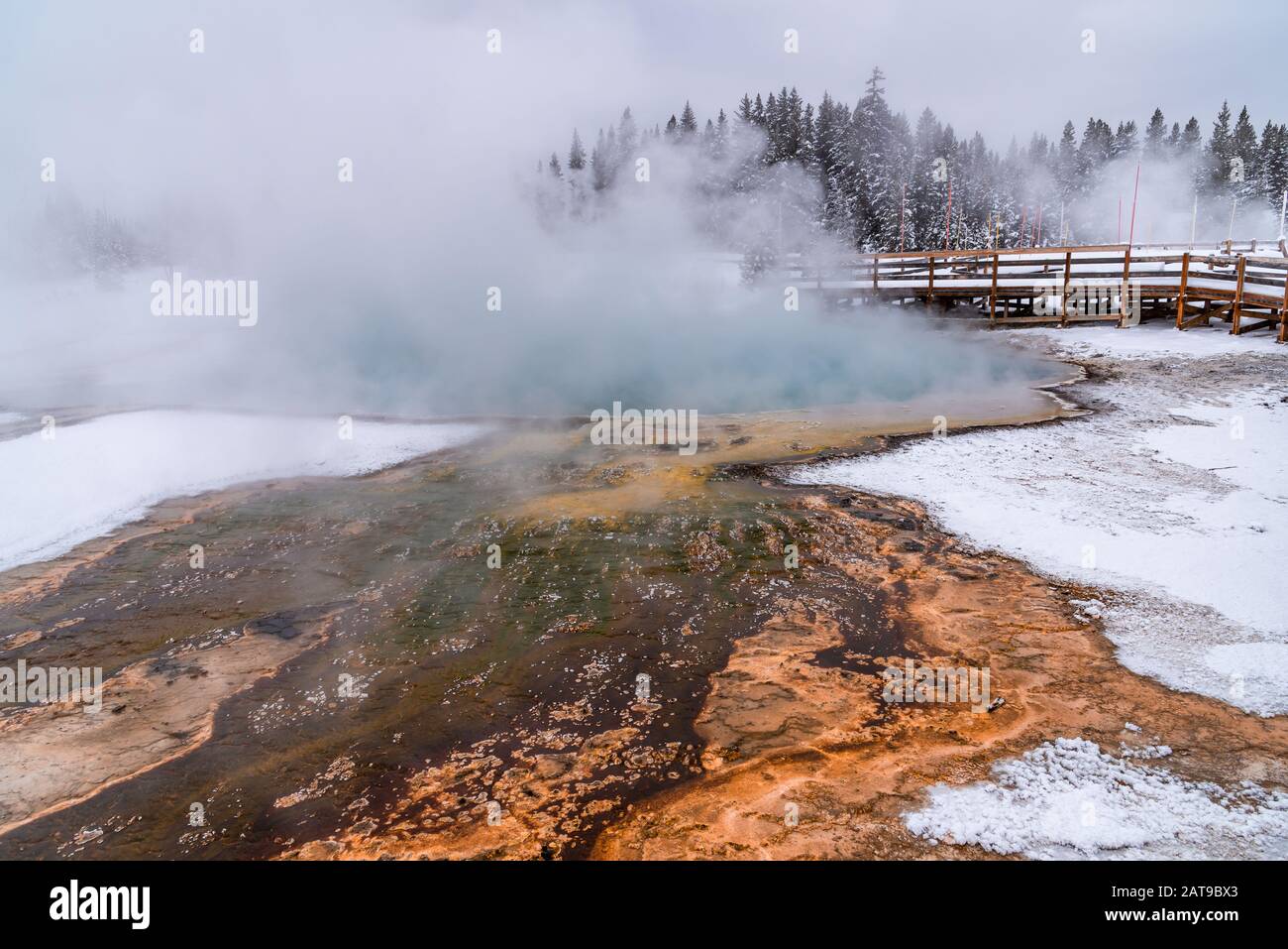 Bakterien färbten einen heißen Federabfluss in lebendigen Farben. Yellowstone National Park, Wyoming, USA Stockfoto