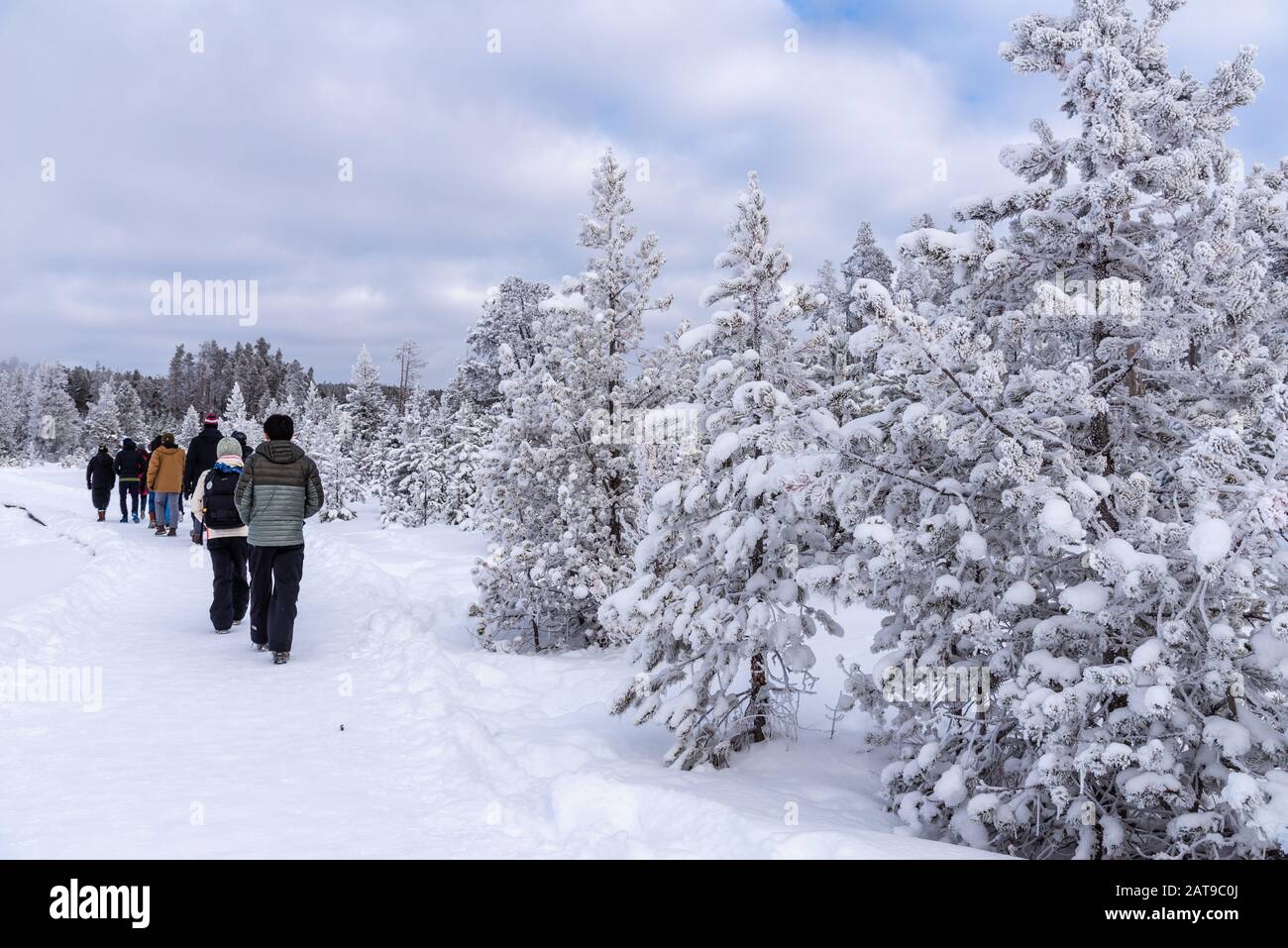 Besucher genießen die Schönheit des Yellowstone National Park im Winter. Wyoming, USA Stockfoto