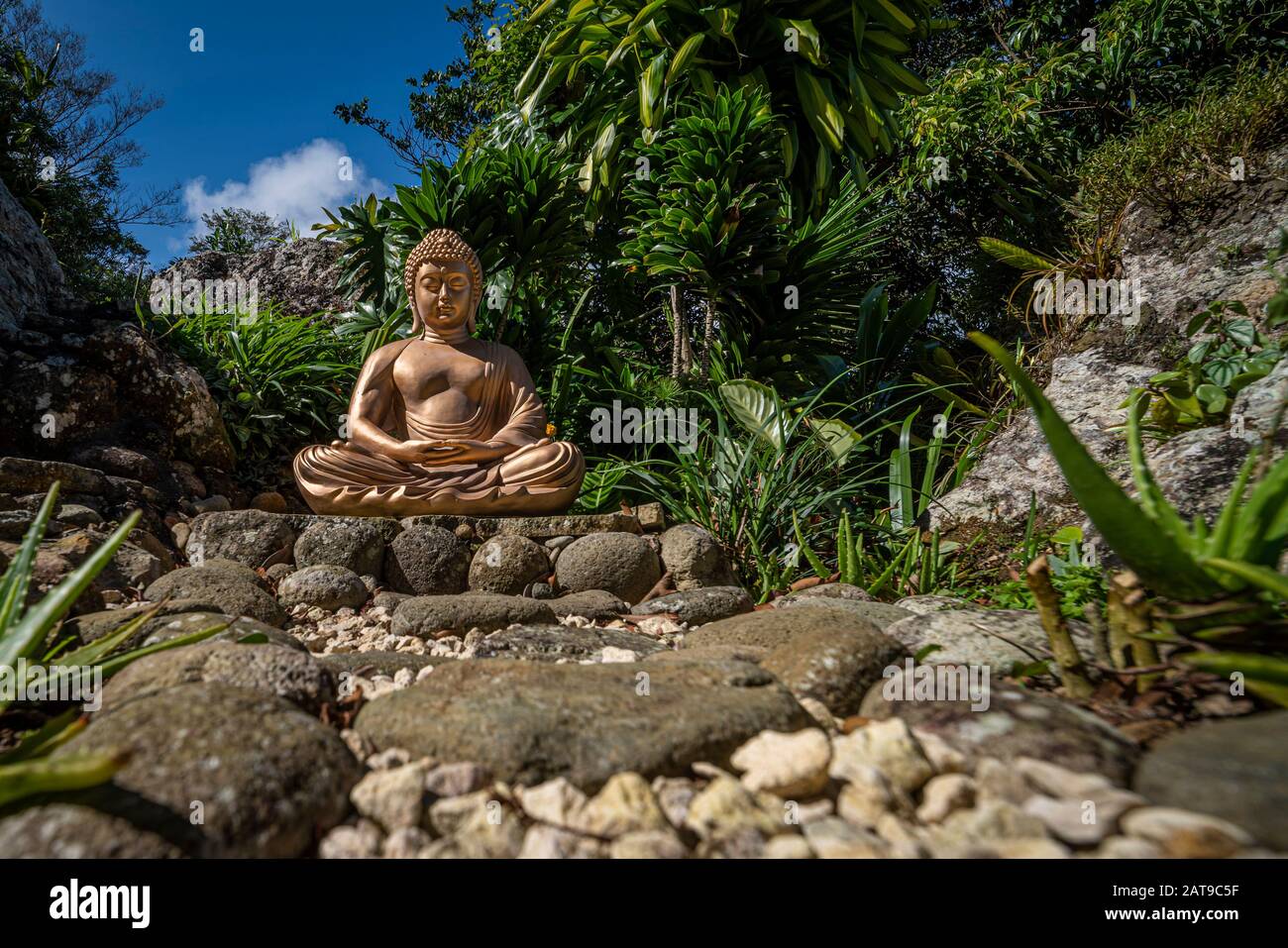 Goldene Buddha-Statue in einem Garten Stockfoto