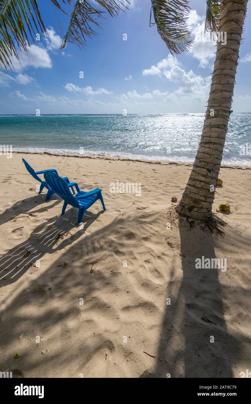 Liegen am Strand mit Palmen Stockfoto